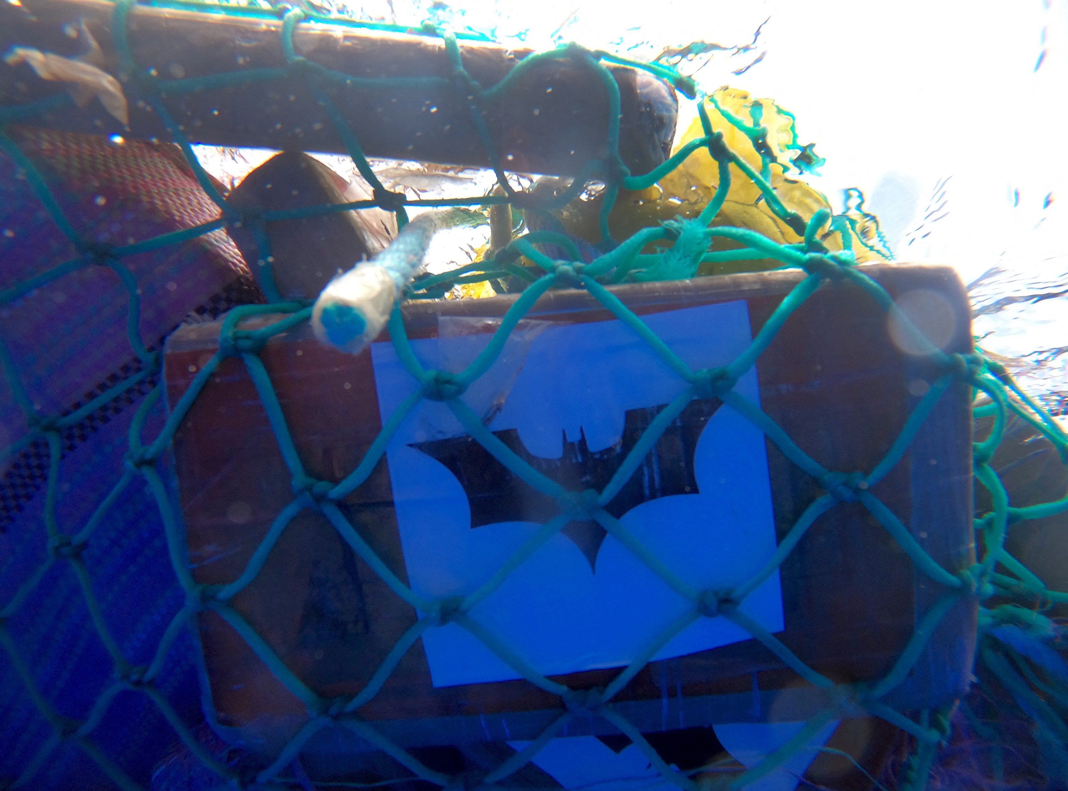 Noua Zeelandă a făcut o captură record de droguri din întâmplare: cocaină de 300 de milioane de dolari plutea în ocean