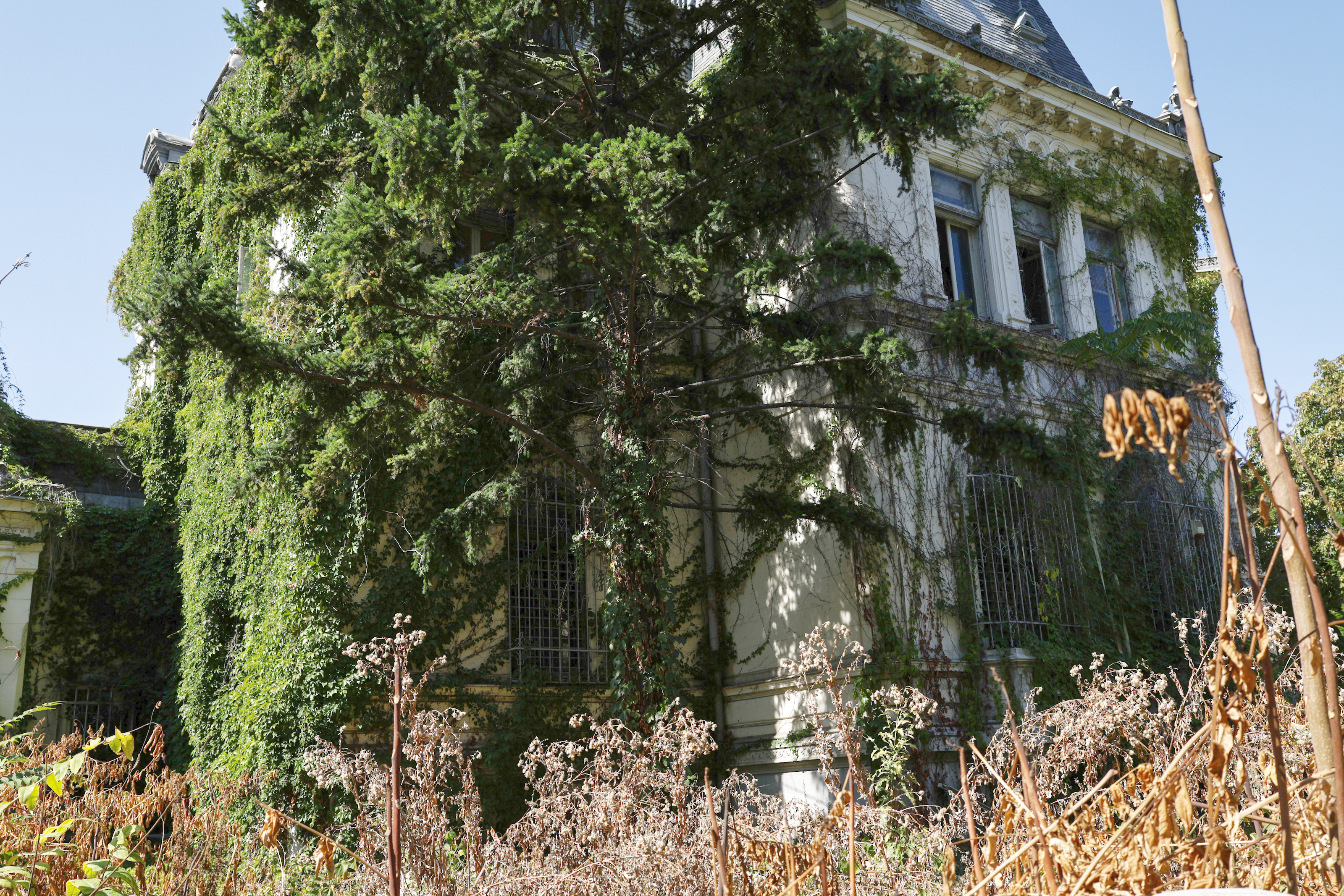 Palatul Maurice Blank