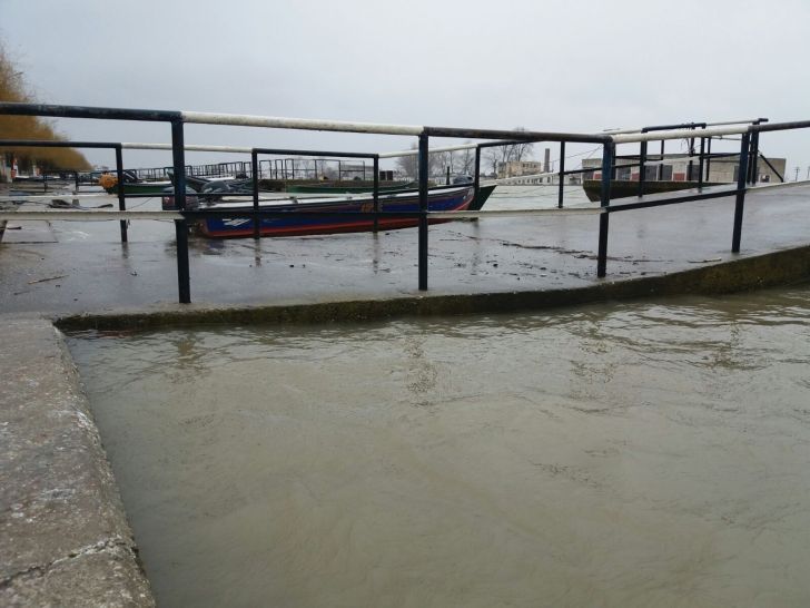 Inundații în Sulina. Dunărea s-a revărsat într-un cartier de locuințe / FOTO&VIDEO