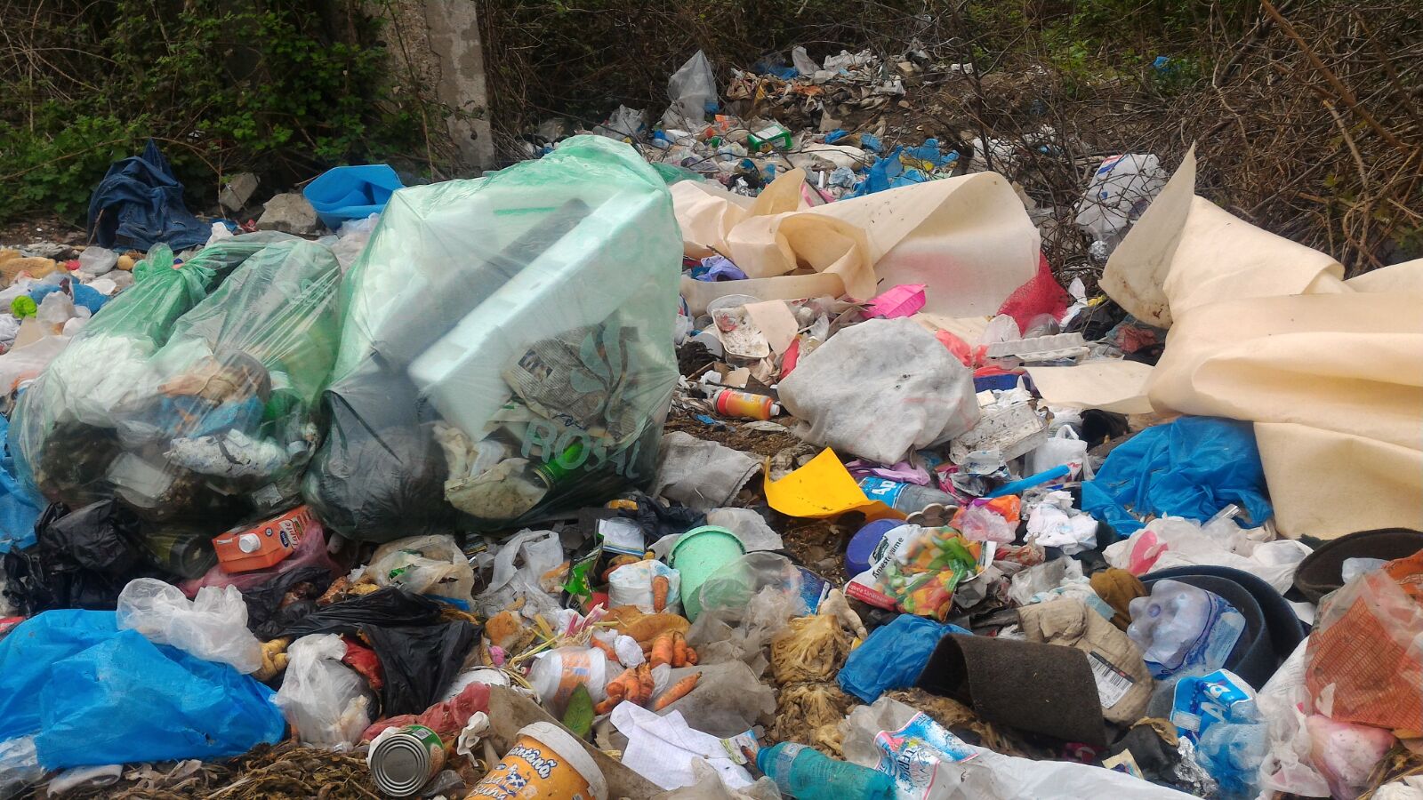 REPORTAJ: Ploiești, un oraș, două lumi total diferite: Viața în lux și viața printre gunoaie în urbea lui Caragiale/ VIDEO&FOTO