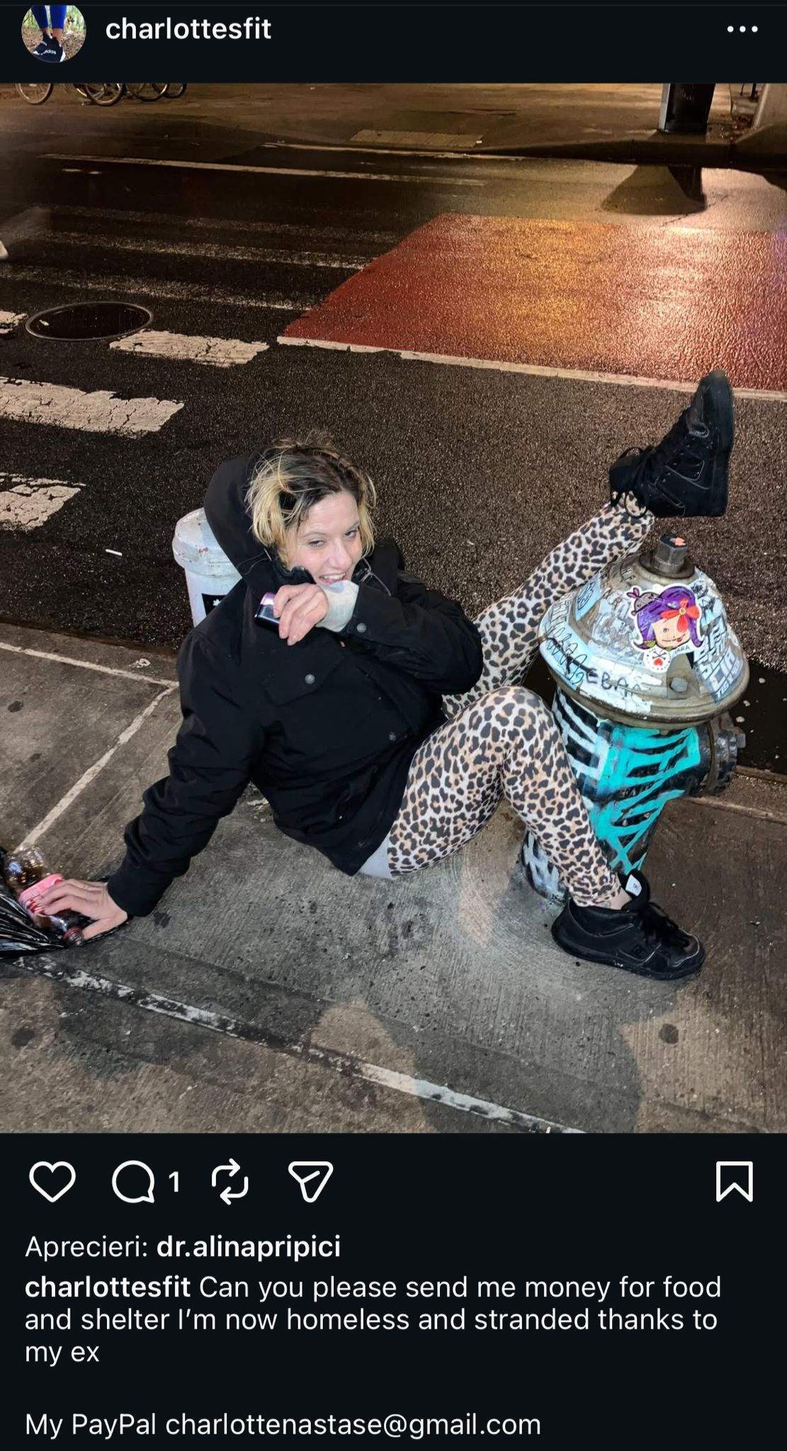 Ce spune Brigitte Pastramă despre situația în care se află fiica adoptivă a lui Ilie Năstase. Charlotte a ajuns pe străzi. „Eu am mai văzut odată un scandal”
