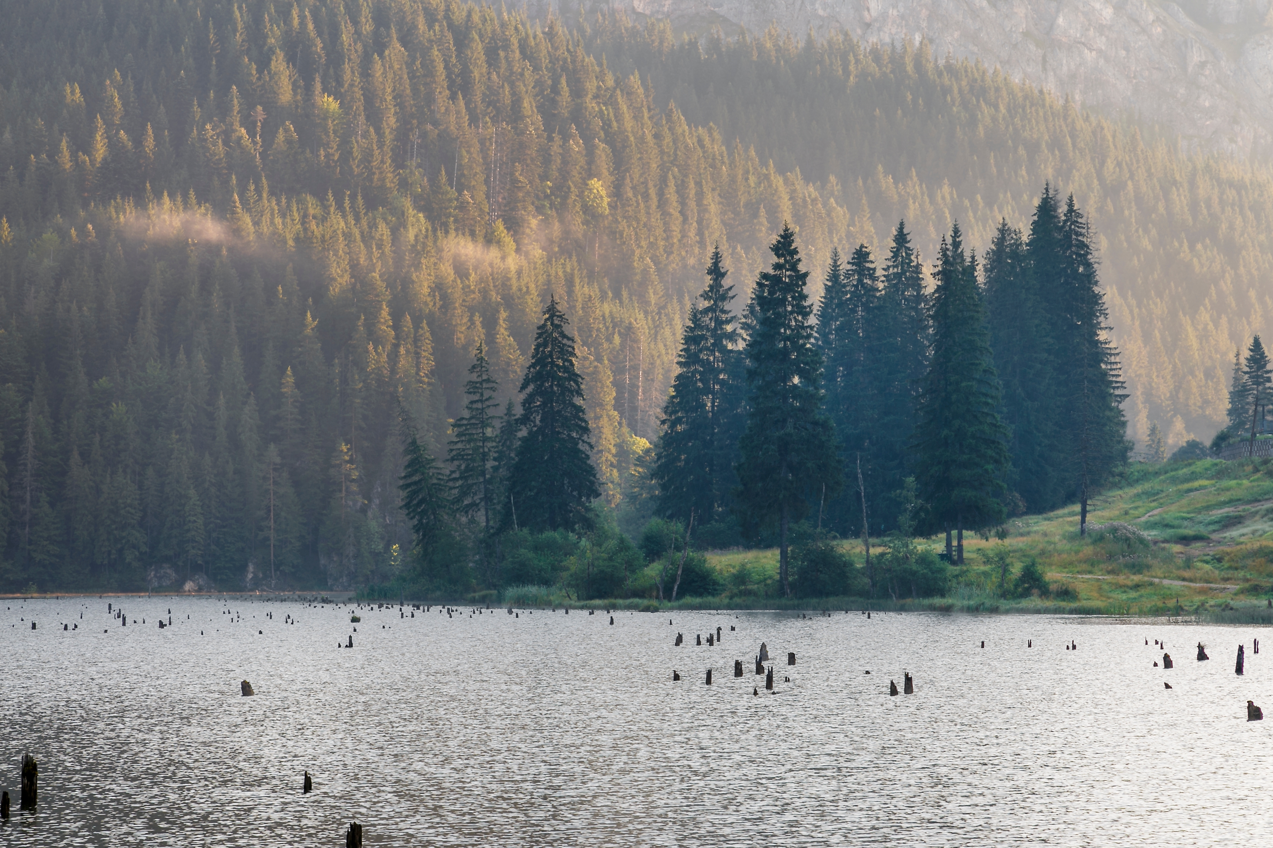 Lacul Ursu, unic în lume. De ce este deosebit și ce poți face în zonă