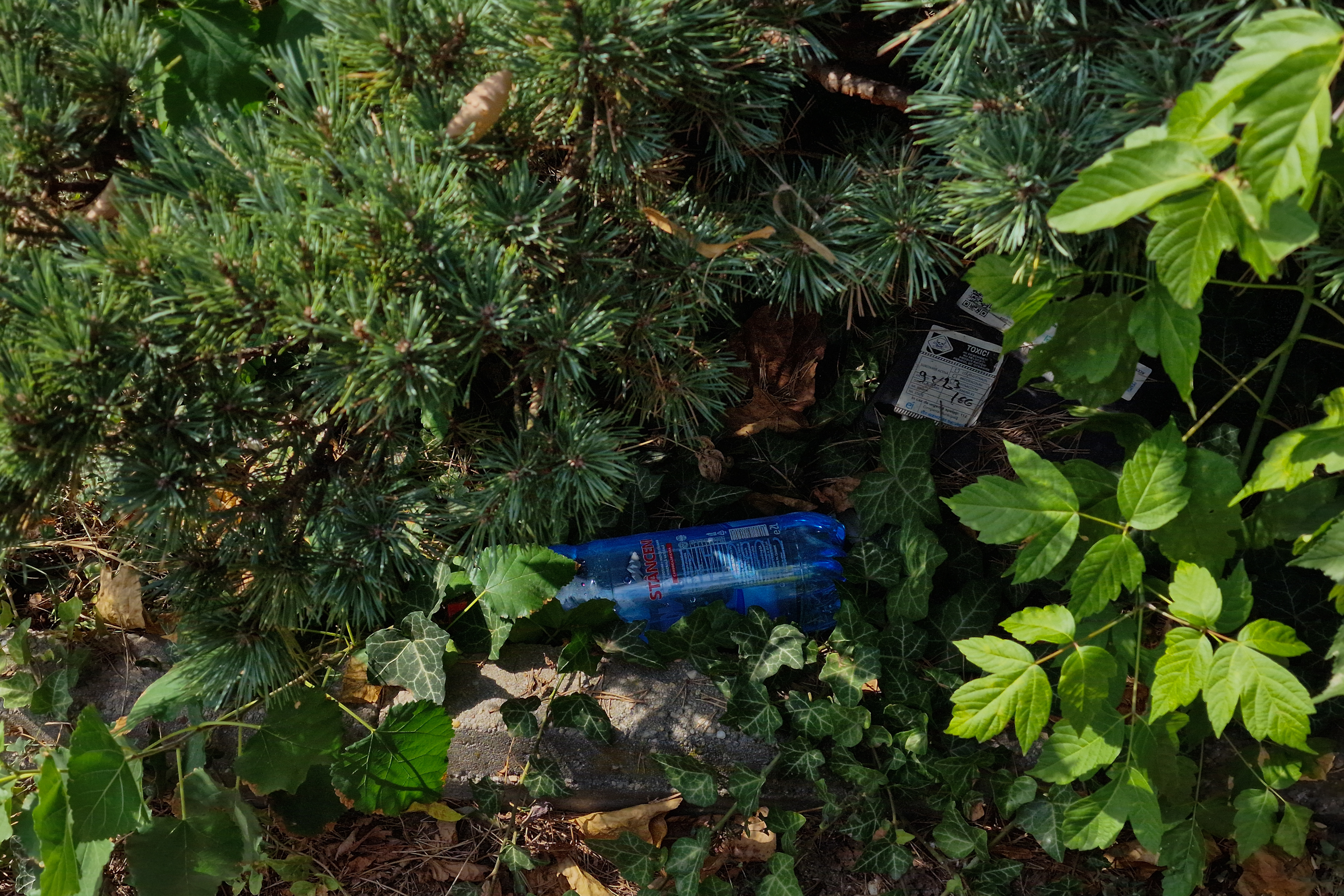 FOTO. În Parcul Circului din București, toată iarba e pârjolită. Rezistă, în schimb, gunoaiele