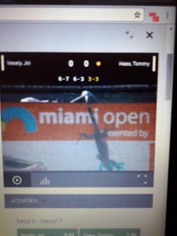 Simona Halep, în pericol! Pe terenurile de la Miami umblă șopârle uriașe / GALERIE FOTO & VIDEO
