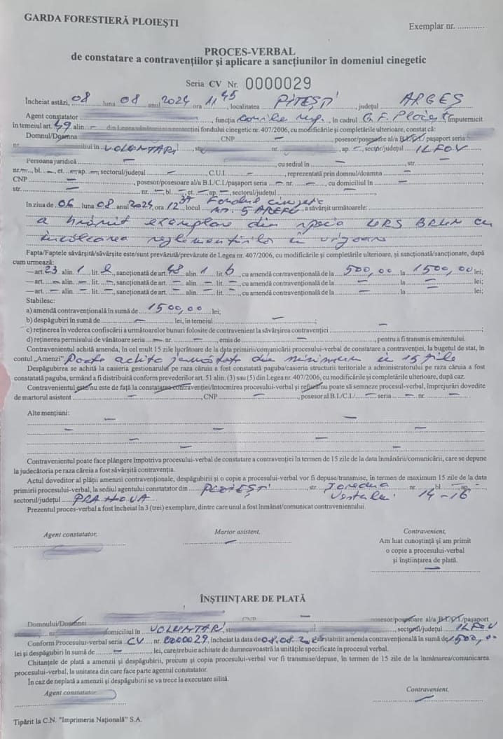 Frații Tate, amendați după ce s-au filmat în timp ce hrăneau cu cârnăciori un urs, pe Transfăgărășan