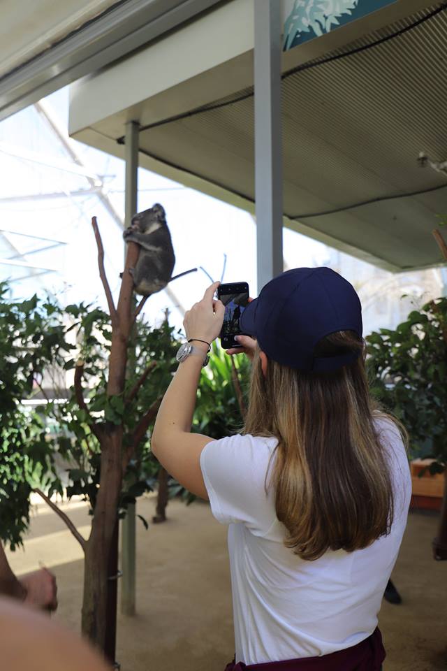 Simona Halep a vizitat grădina zoologică din Sydney. Liderul mondial debutează marți | GALERIE FOTO&VIDEO