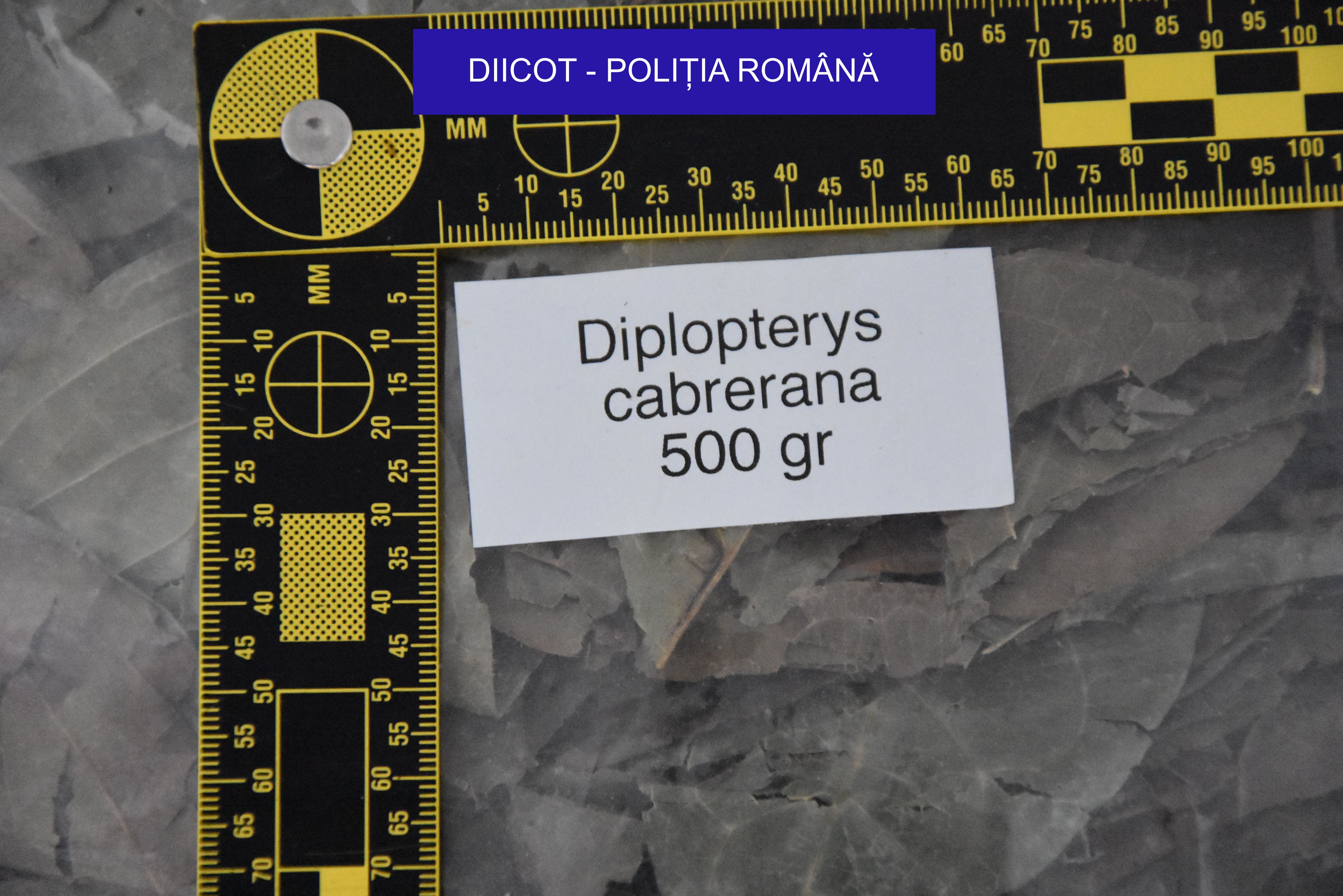 DIICOT a dat detalii din dosarul fostului șef  DGIPI. Gelu Oltean tăia bilete la ceremoniile șamanice cu droguri de mare risc, pe care le organiza în Răcari