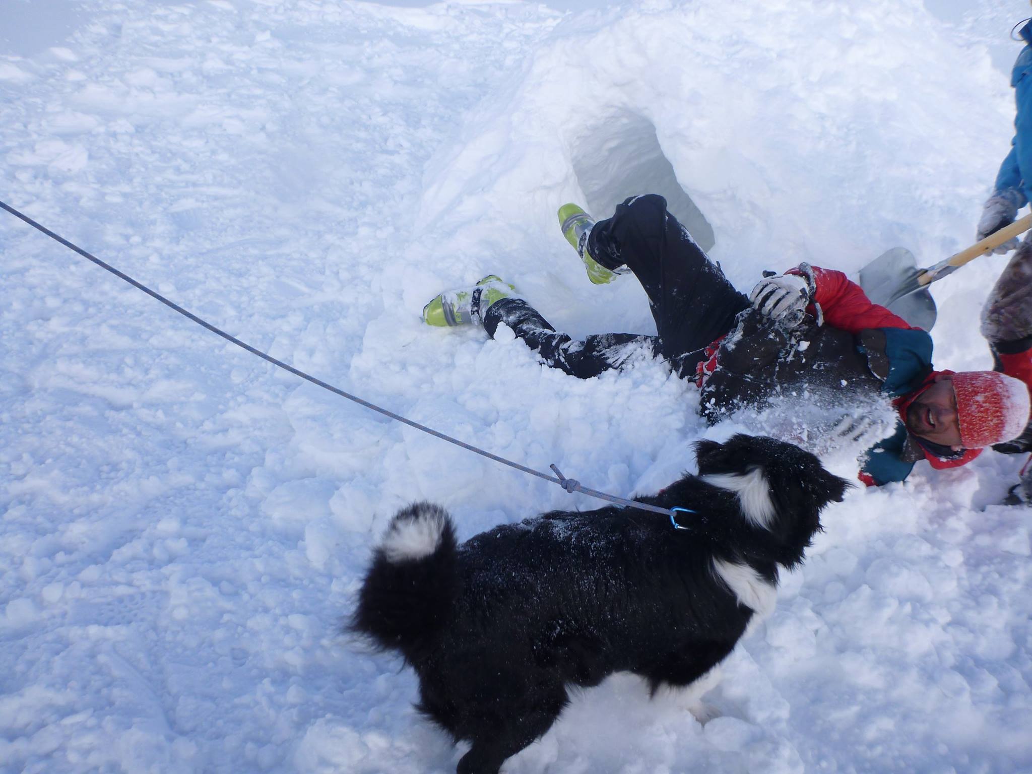 REPORTAJ/Povestea câinilor de avalanșă Helios și Dara sau încrederea de nezdruncinat dintre om şi animal: "Unde merg eu, merg şi ei"/ FOTO
