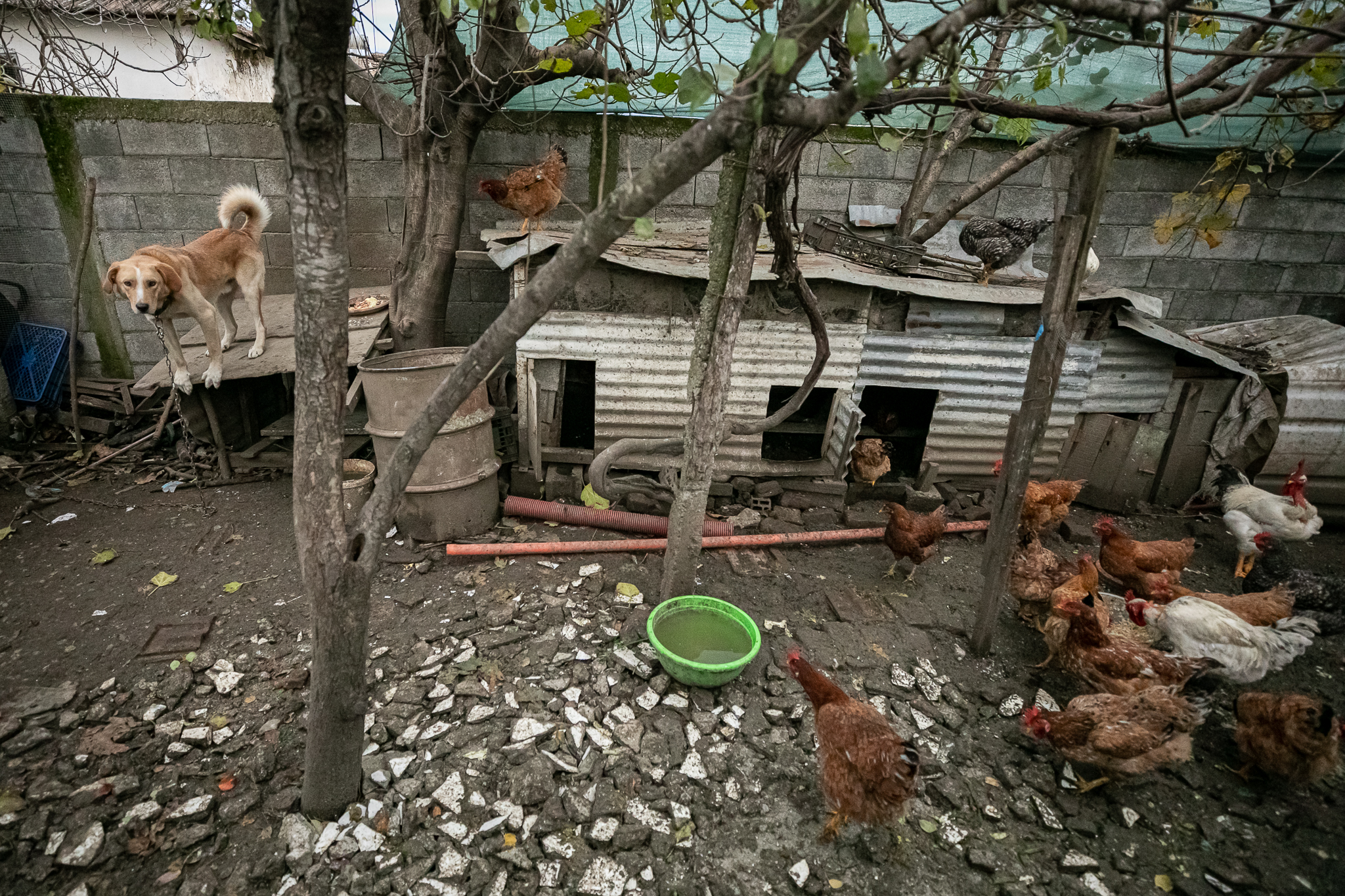 Thumanë, satul din Albania care va fi ras de pe fața pământului. Autoritățile au decis să dărâme toate clădirile rămase în picioare după cutremur