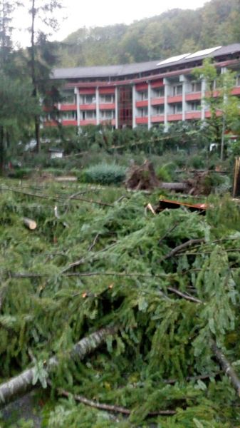 Stațiunea Moneasa din Arad, distrusă de furtună. Prăpăd după vijelie
