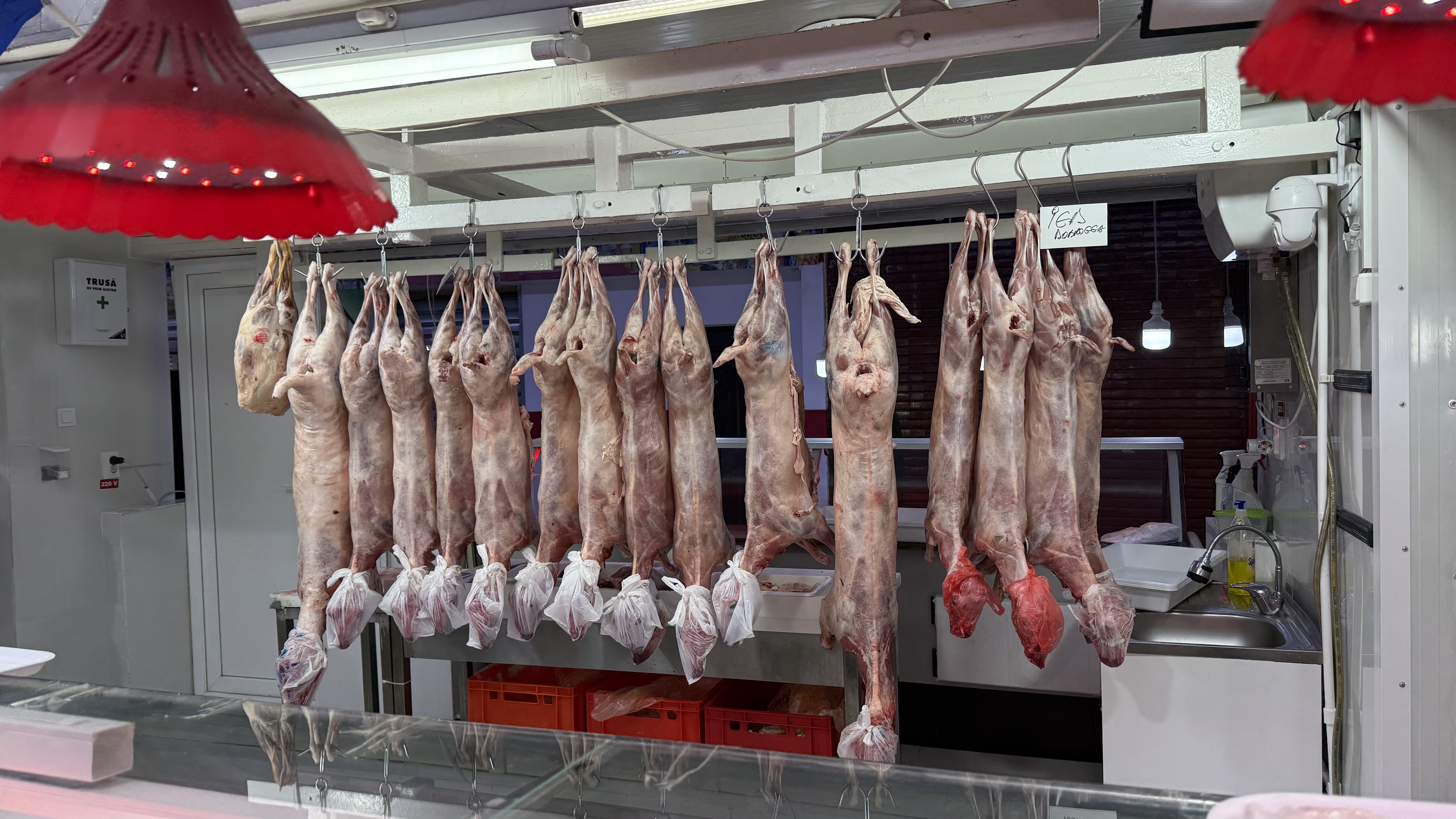 Cum își pregătesc comercianții marfa pentru masa de Paște: „Oamenii vor calitate. Avem miel de Dobrogea. Sperăm să vindem tot”