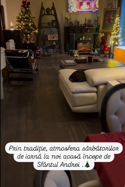 Imagini din casa Andreei Marin, decorată de Crăciun. În sufragerie are mai mulți brazi împodobiți, iar masa festivă e gata