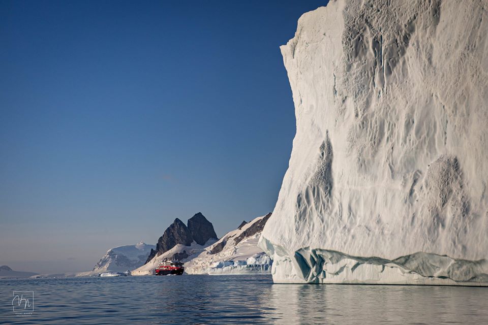 În carantină cu pinguinii. Povestea unui echipaj care s-a întors din Antarctica și a găsit toate granițele închise