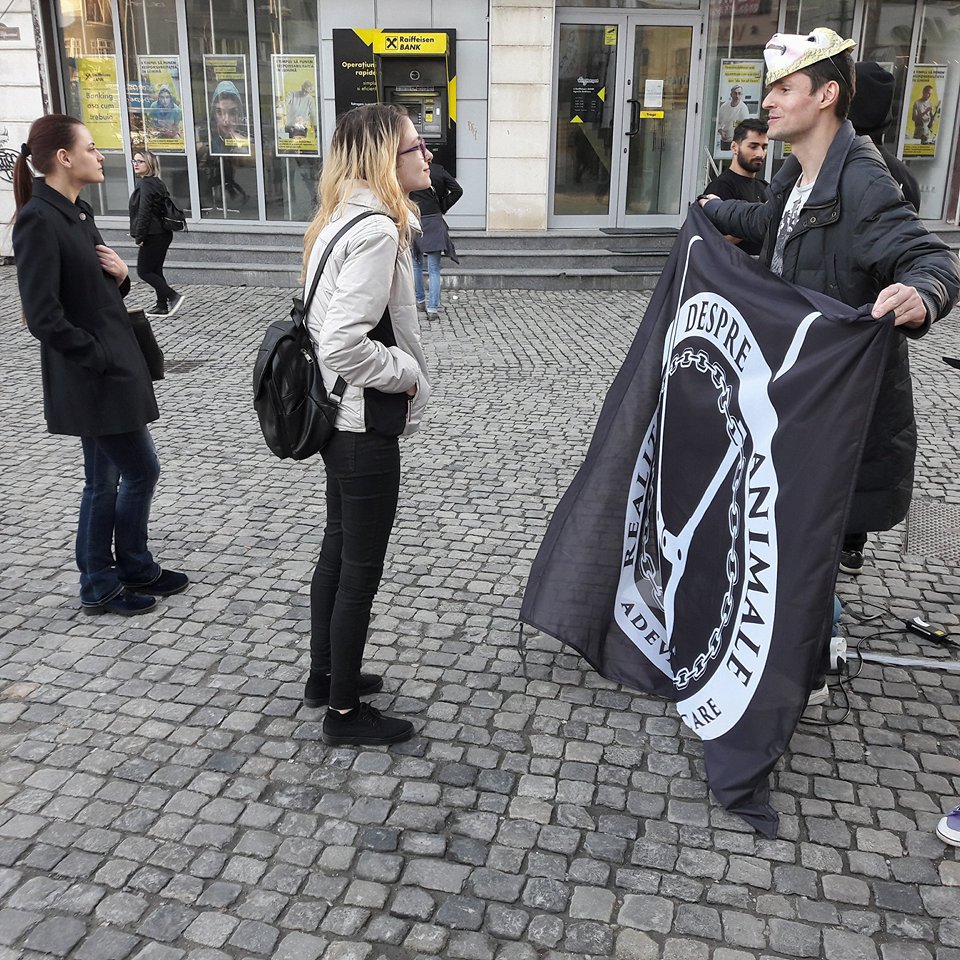 FOTO&VIDEO/ Veganii fac un flashmob la târgul de miei din București, în duminica Floriilor: „Oaia are inteligența unui copil de trei ani”