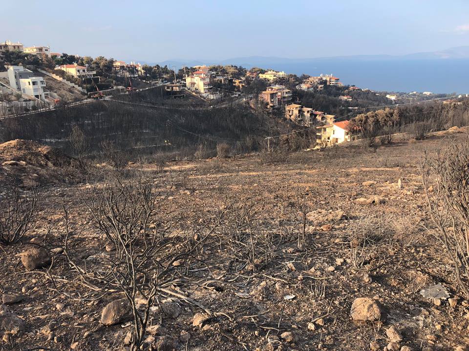 CORESPONDENȚĂ LIBERTATEA DIN RAFINA, GRECIA | Satul care a ars în proporție de 80%. Peste 30 de oameni au murit și jumătate din case au ars
