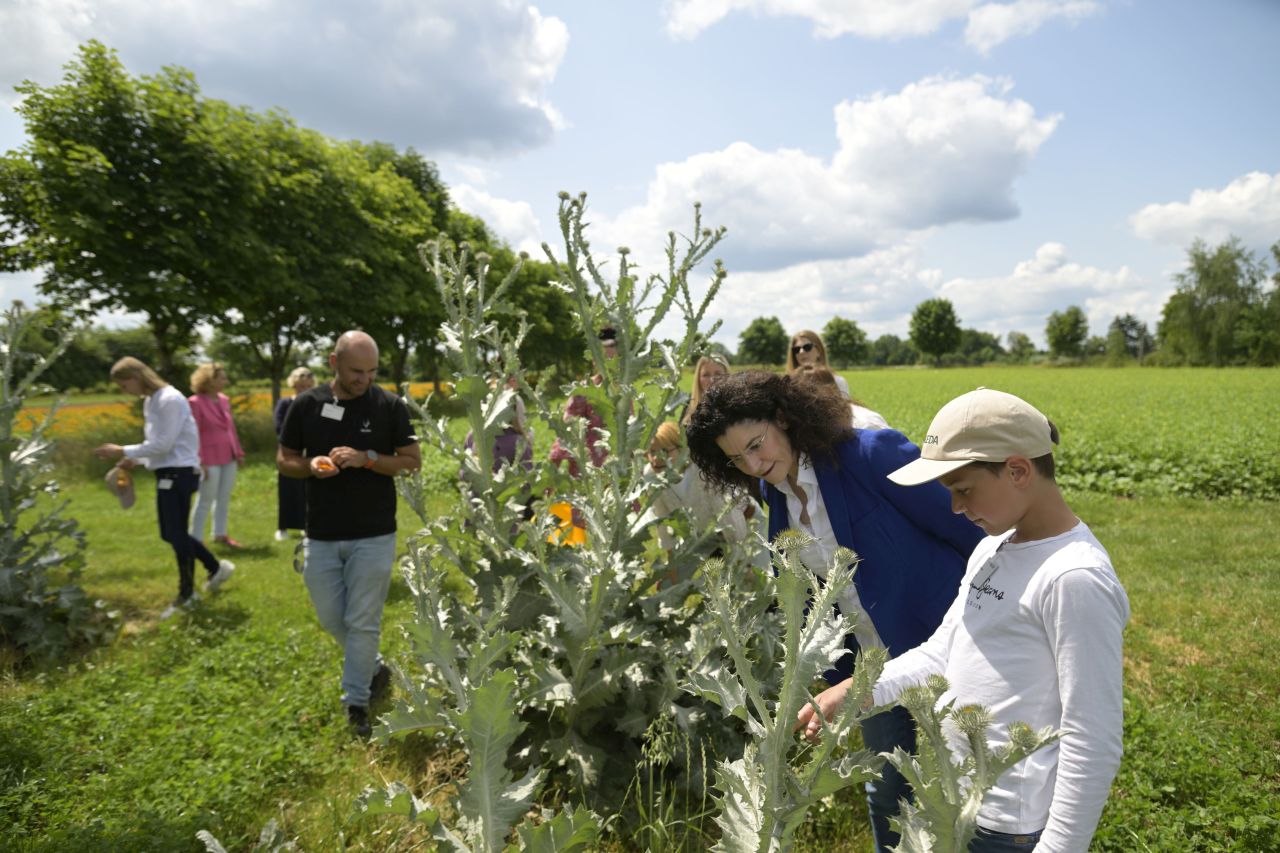 Cum se fabrică celebrele produse Weleda! Am vizitat grădina de plante medicinale din Germania, un paradis de 23 de hectare