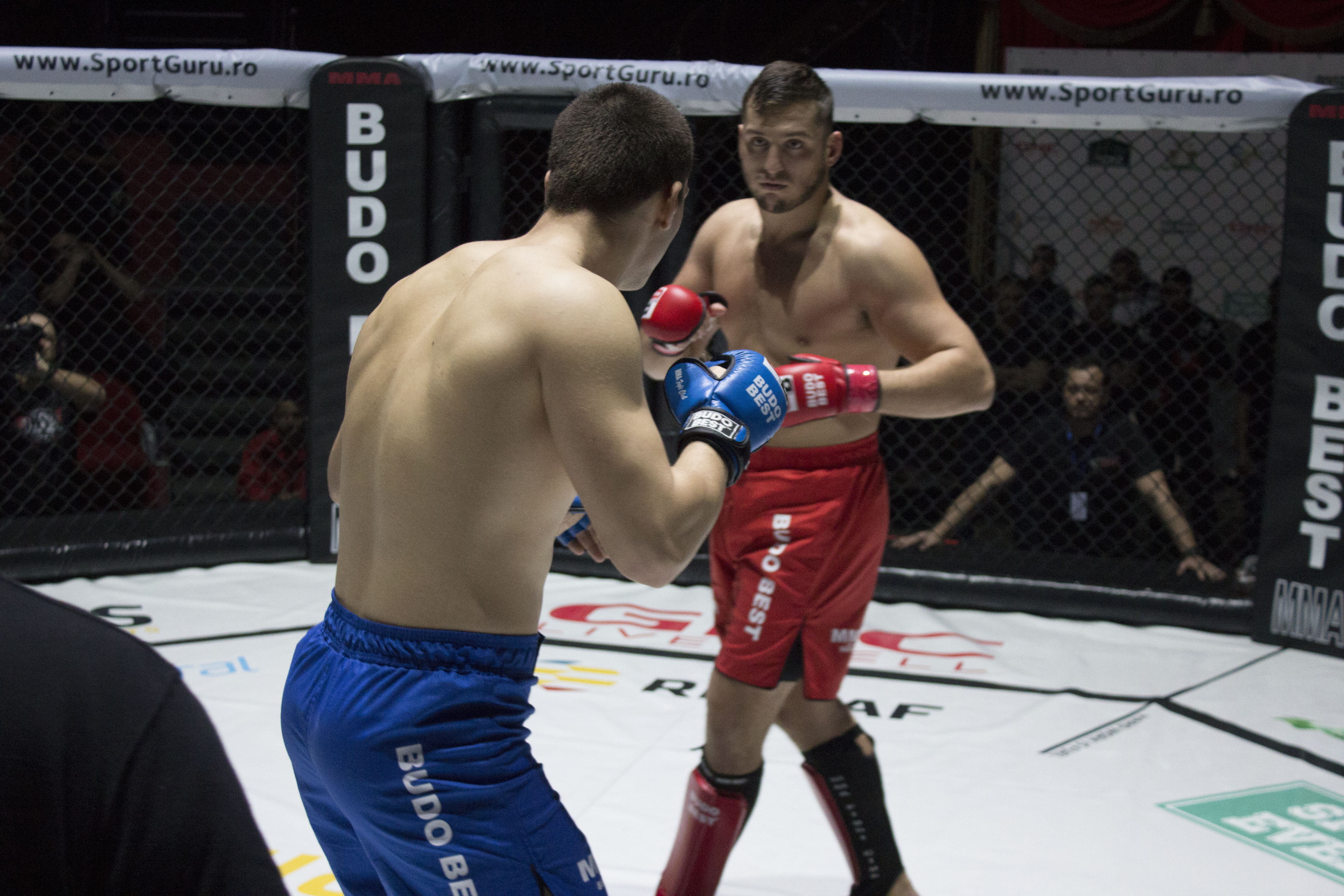 Divizia MMA, 23 mai. Nicolo Bonati, doctorul care luptă în cuşcă / GALERIE FOTO