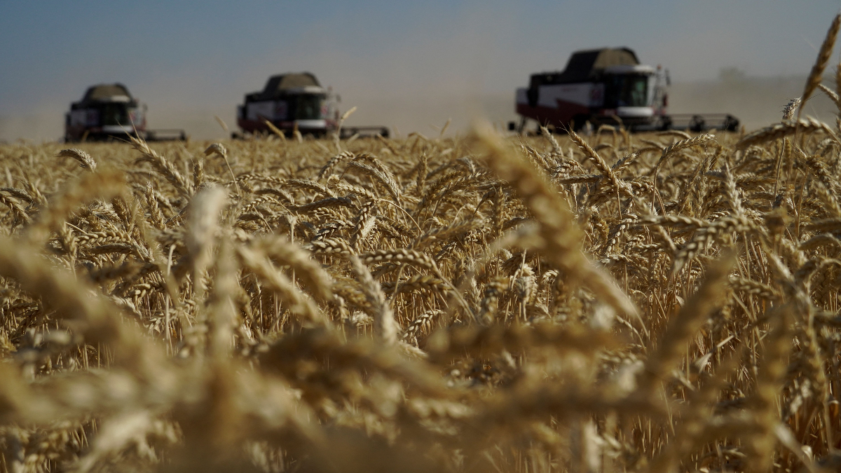 Wheat is loaded aboard a cargo ship in the international port of Rostov-on-Don to be shipped to Turkey, on July 26, 2022. [Photo by STRINGER/AFP via Getty Images]