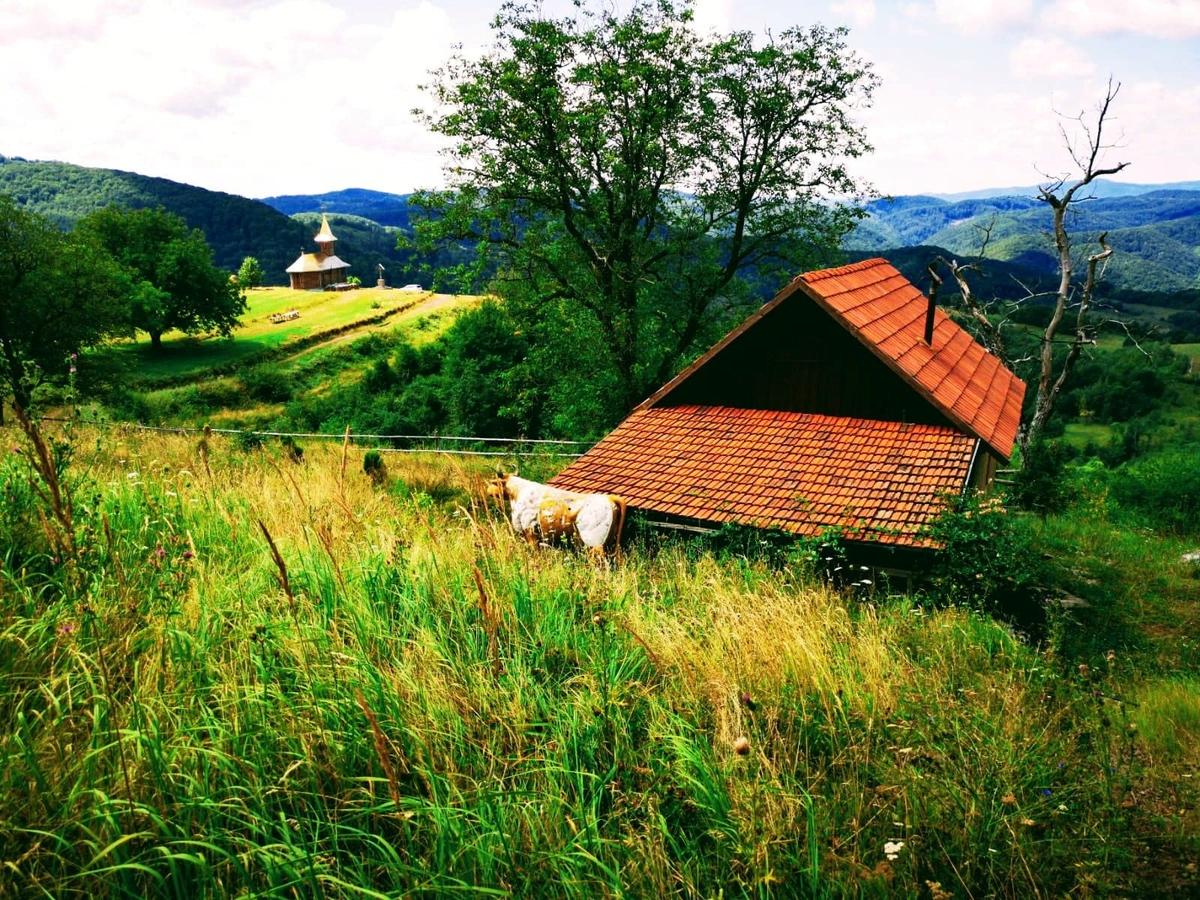 Casa părintească a Părintelui Arsenie Boca, de vânzare. Costă 3 milioane de euro și se vinde alături de 8 hectare de teren | FOTO