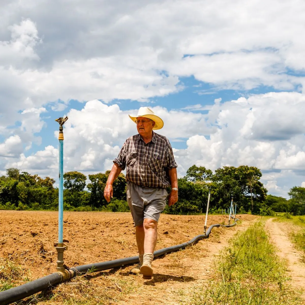 Zimbabwe compensates foreign farmers $146 million as 67 seized farms are returned