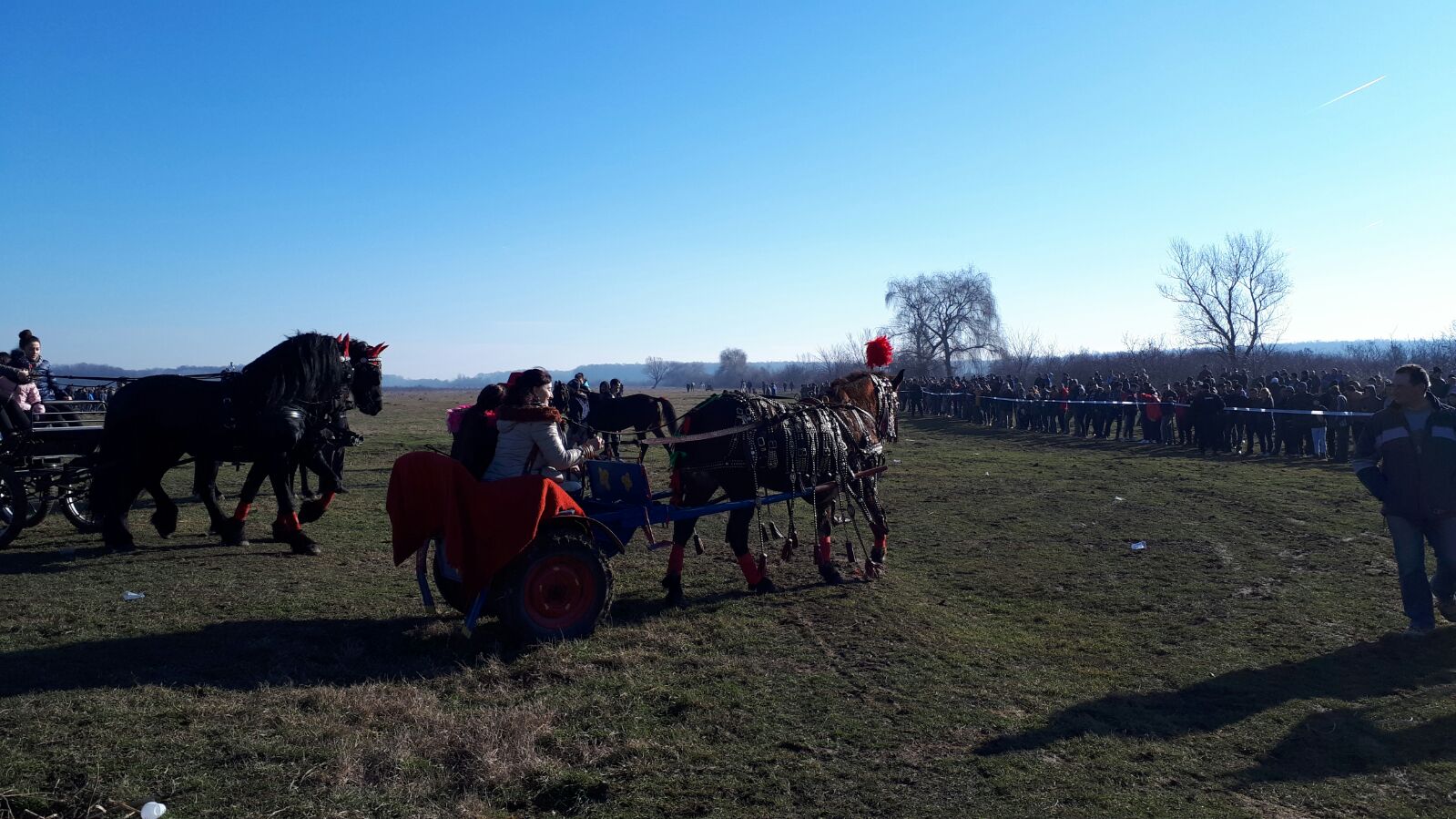 REPORTAJ: Ca să nu mai fie bătuți, caii nu mai intră la proba de tracțiune, la Botezul Cailor de la Pietroșani| FOTO