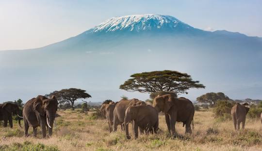 Most visited African countries by tourists