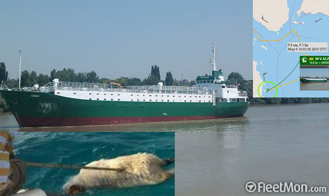 Oi din România pe plajele din Egipt, după ce au fost aruncate peste bord în Marea Roșie