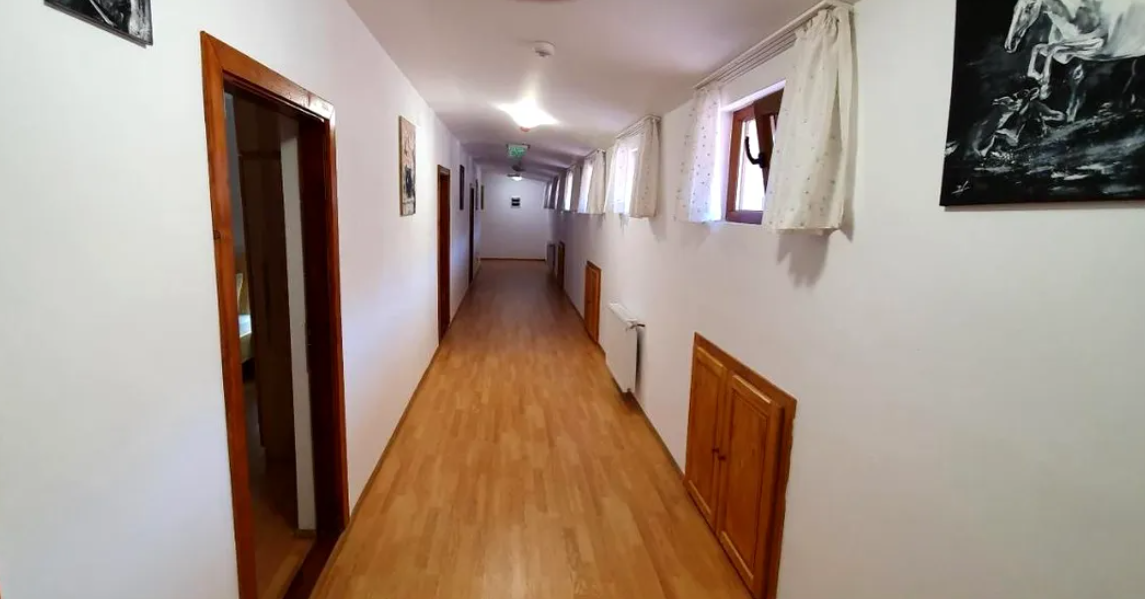 Cât costă o noapte de cazare la pensiunea Monicăi Anghel, în perioada sărbătorilor de iarnă. Imagini cu conacul de la Berevoiești