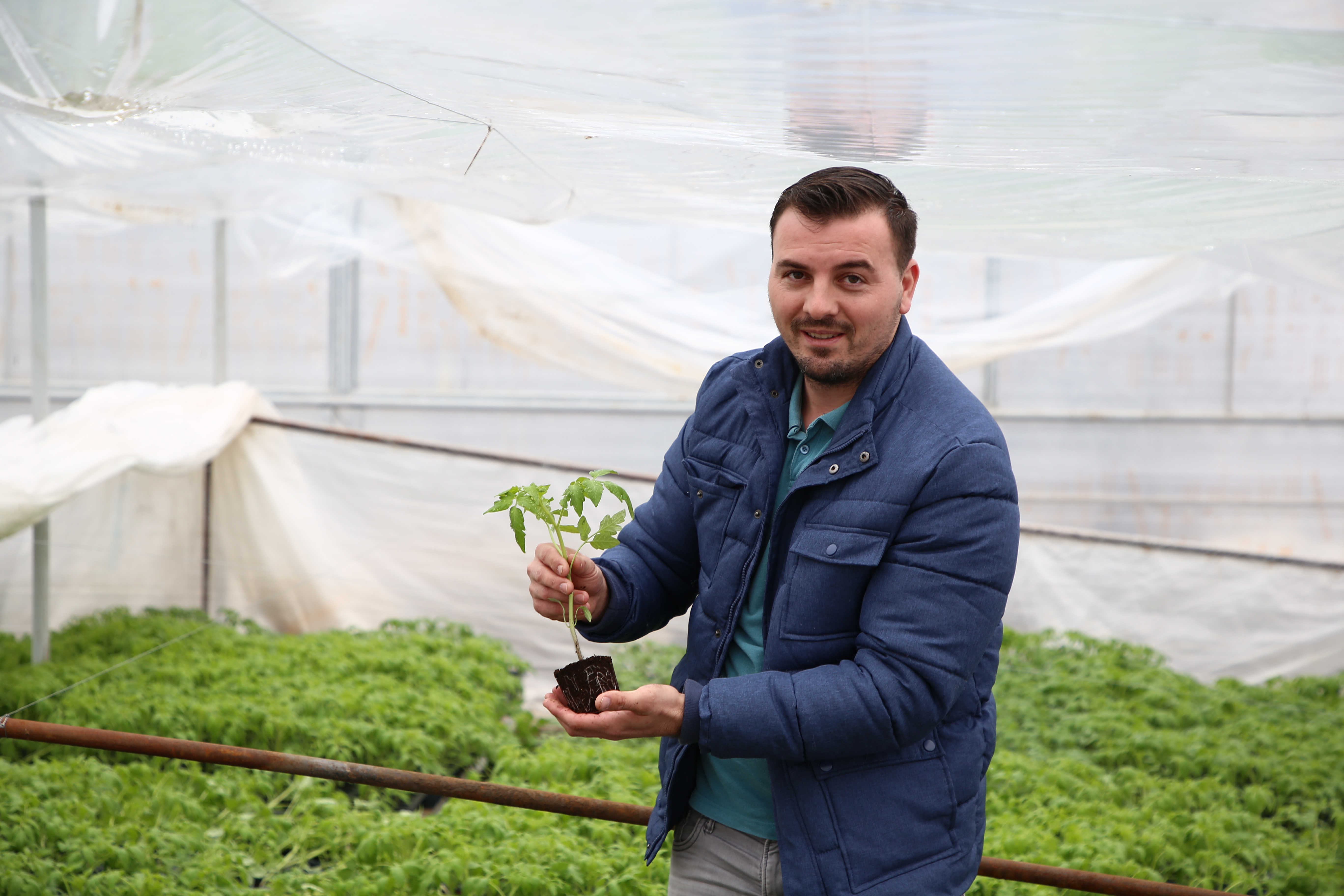VIDEO EXCLUSIV/Au muncit din greu în Anglia, dar au venit acasă să facă agricultură. Șapte olteni au reînviat C.A.P.-ul!