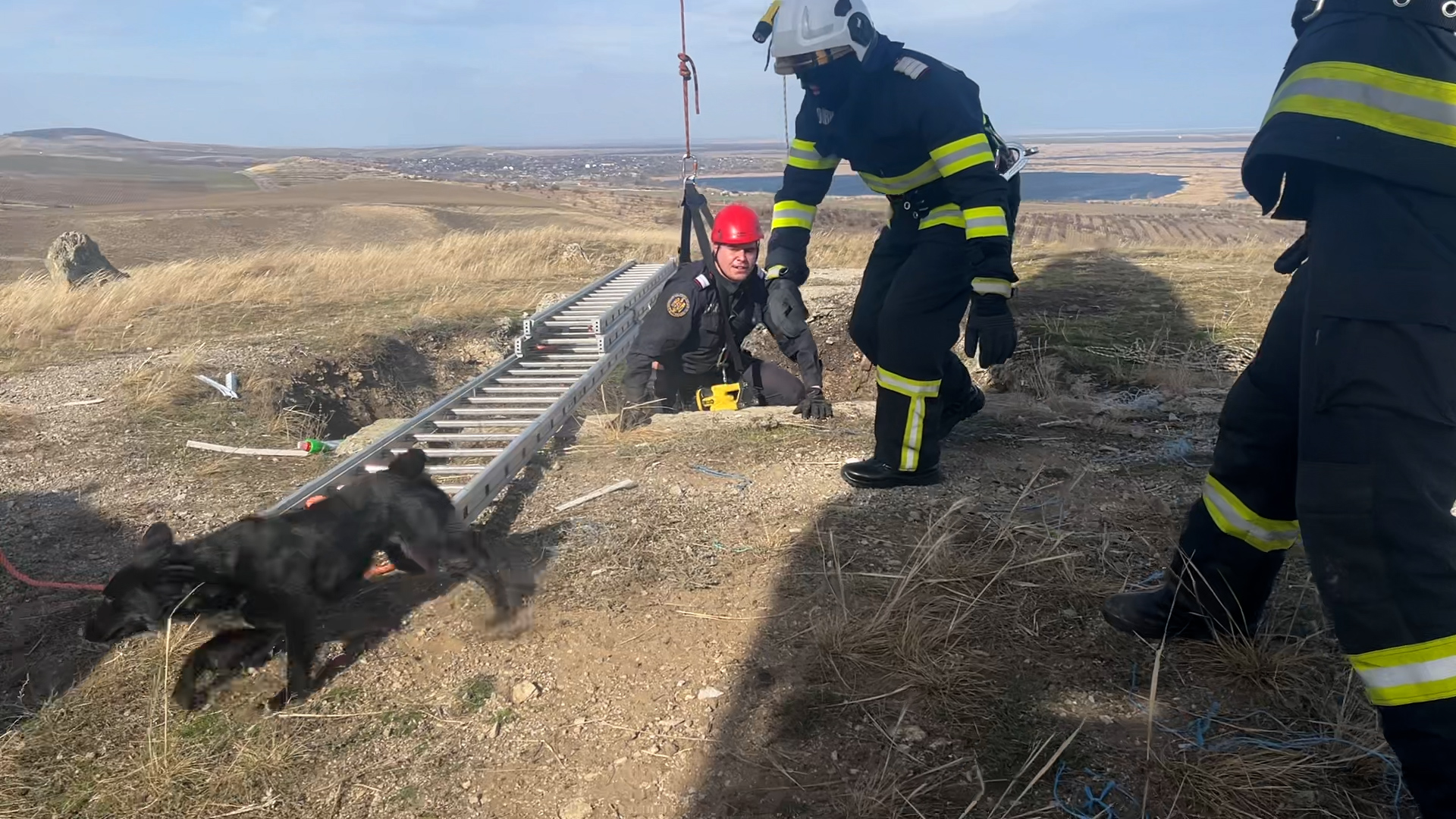 Un câine căzut într-o groapă de 30 de metri a fost salvat după trei zile de pompierii din Tulcea. VIDEO