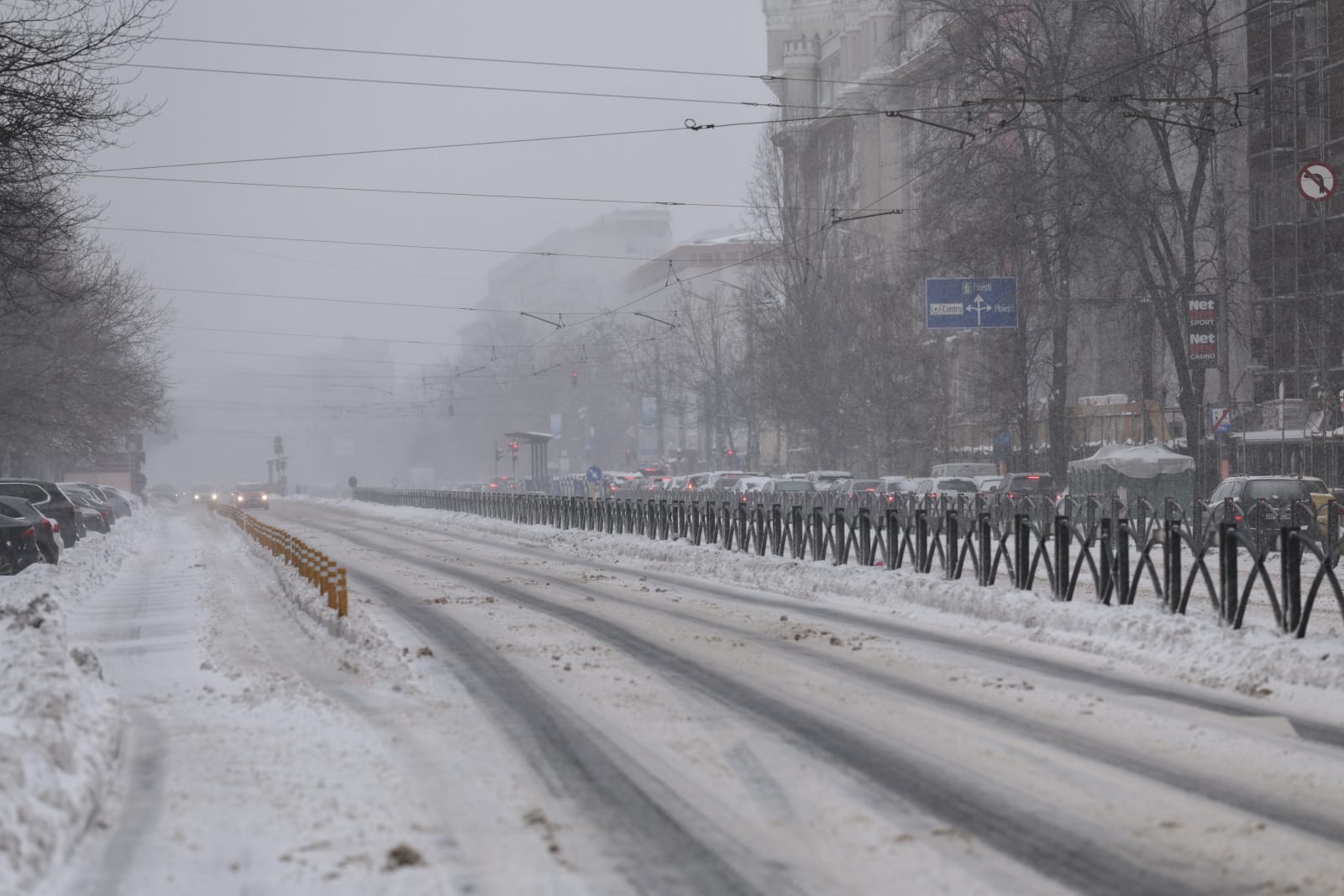 Codul galben de ninsori și viscol a făcut prăpăd în mai multe județe: copaci rupți și mașini distruse în București, drumuri închise sau restricționate în 16 județe | VIDEO