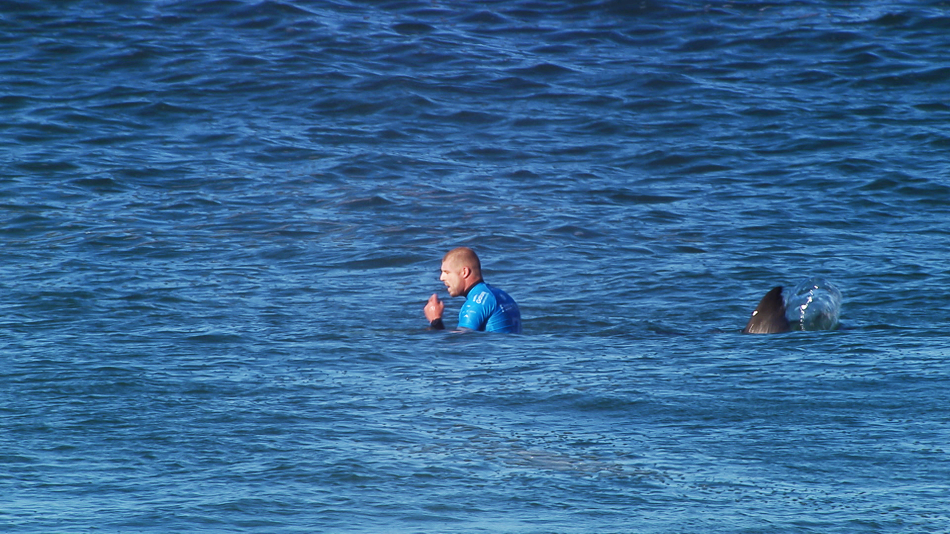 Un campion mondial la surf a fost atacat de un rechin | GALERIE FOTO & VIDEO