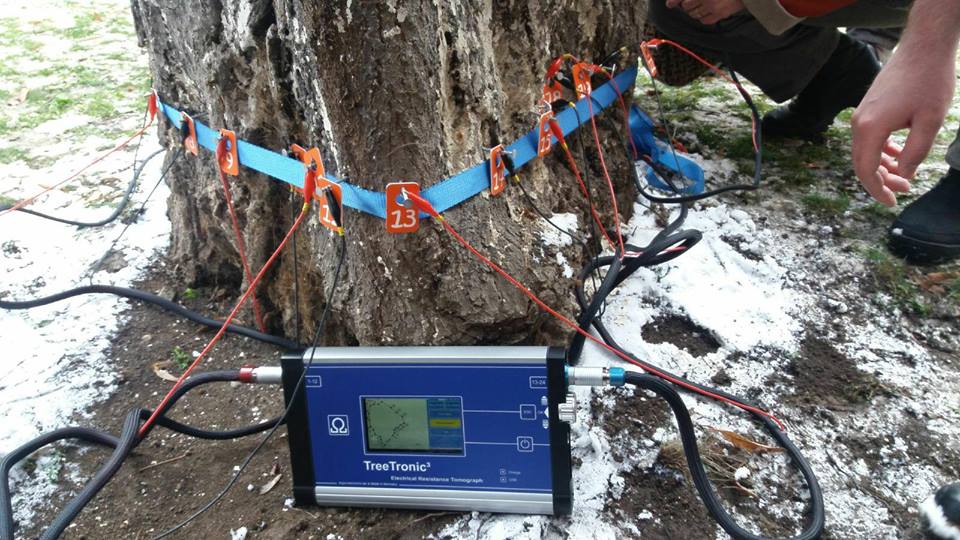 Tomograf pentru copaci, cumpărat de Primăria din Cluj. Dispozitivul a costat peste 130.000 de lei