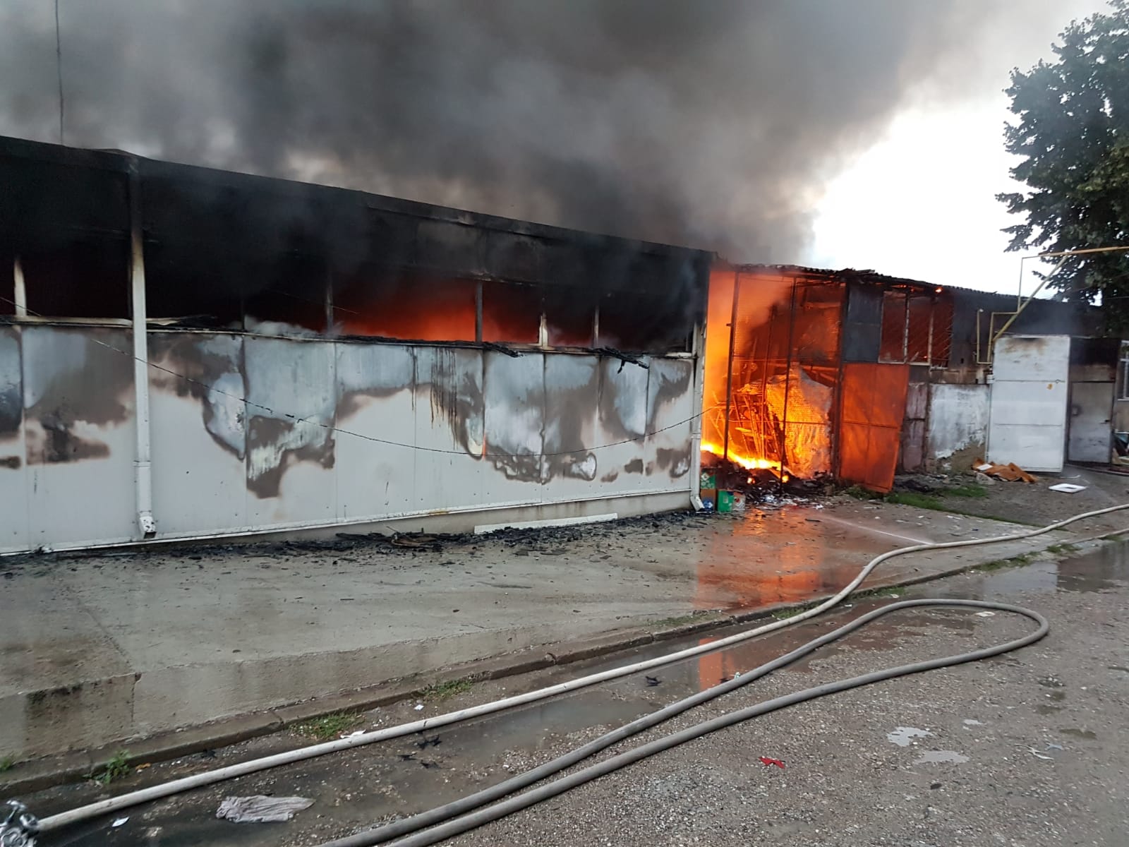 FOTO&VIDEO/ Incendiu puternic în Bacău la o hală de 600 mp în care funcţionau trei firme