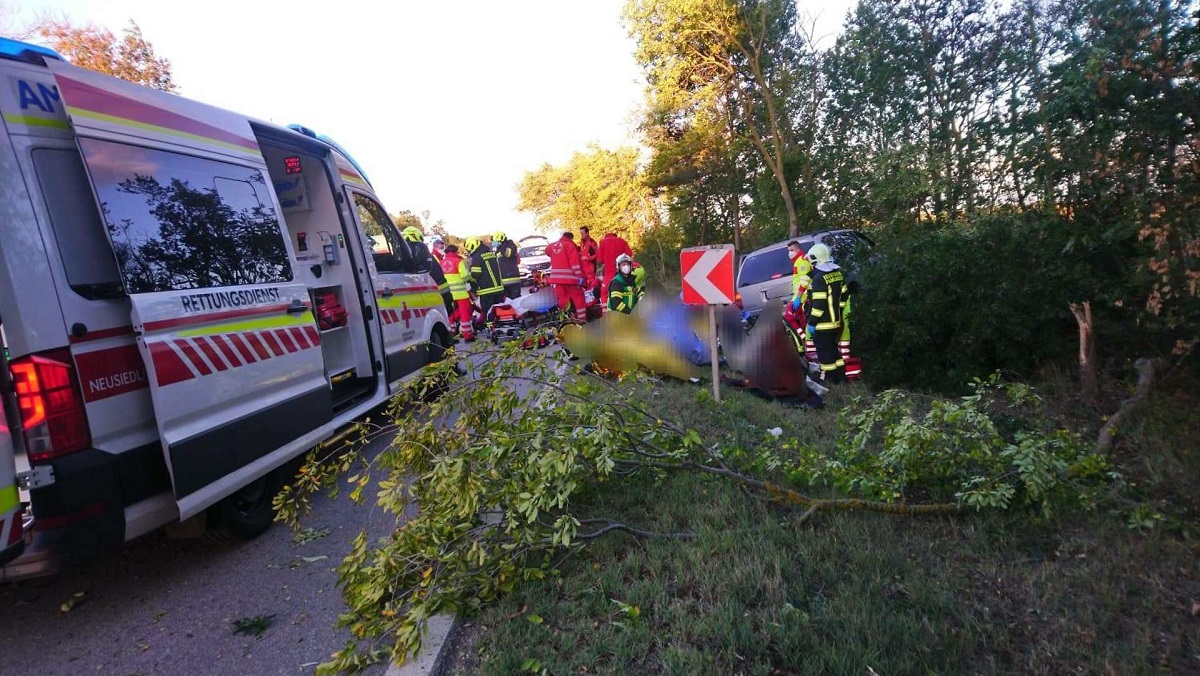 „Am ajuns în Austria din întâmplare”. Traficantul român care avea 15 migranți în mașina izbită de un pom a fost condamnat