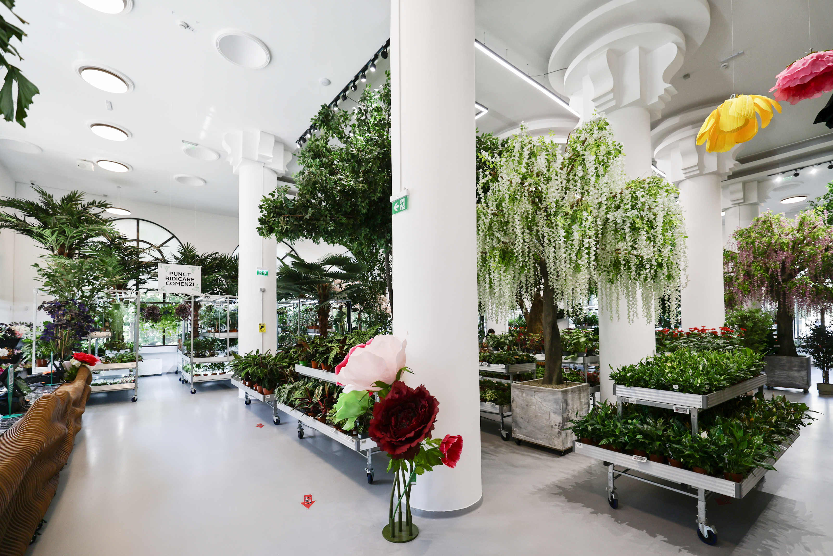 Mall-ul de plante din București are cinci niveluri cu peste 1.200 de soiuri, ghivece inteligente și un mesteacăn artificial care costă cât un apartament