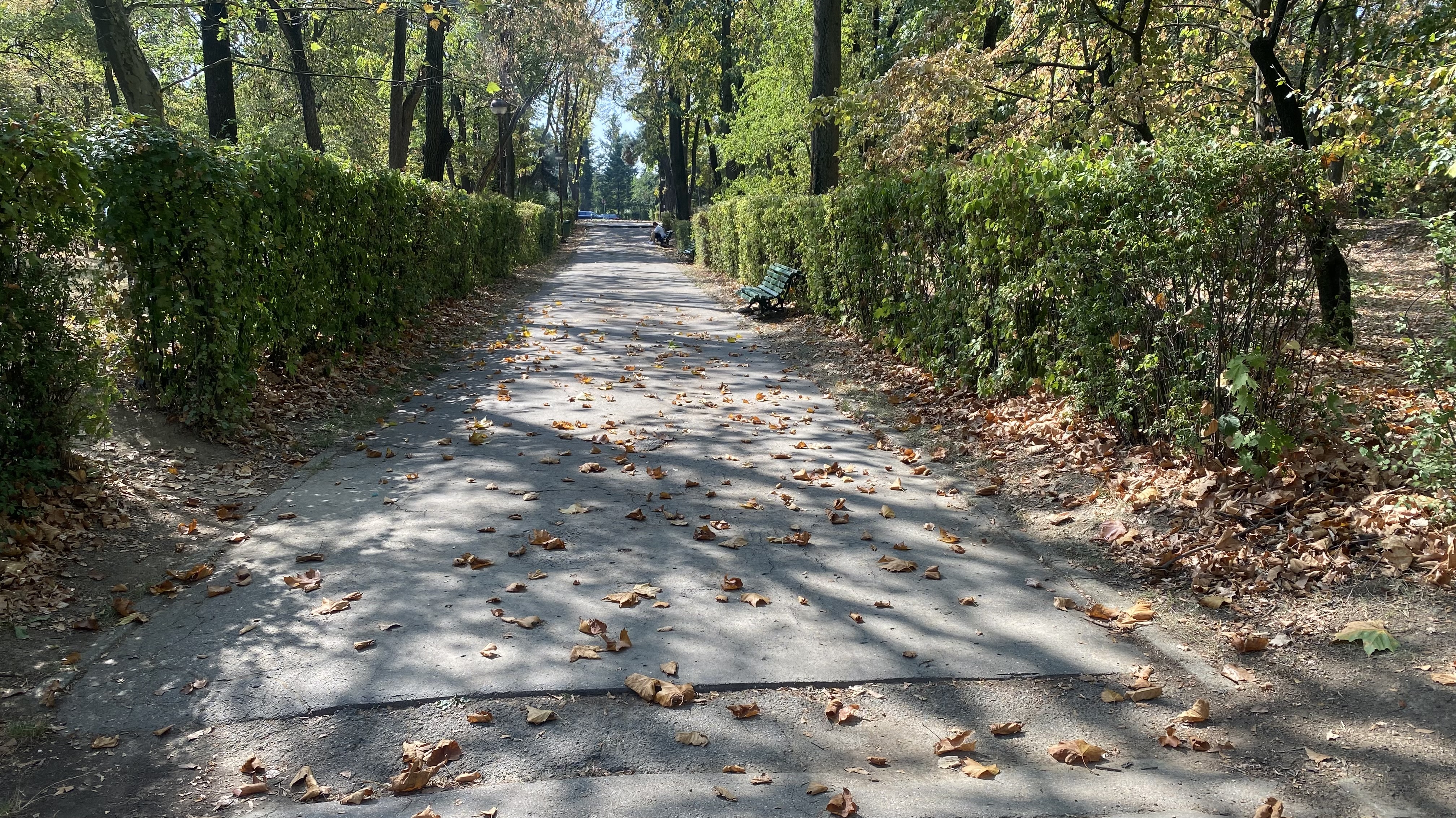 FOTO. Herăstrău, cel mai mare parc al Bucureștiului, arată mai rău ca niciodată. Trandafirii și zonele cu flori sunt istorie, clădirile pentru expoziții au fost vandalizate