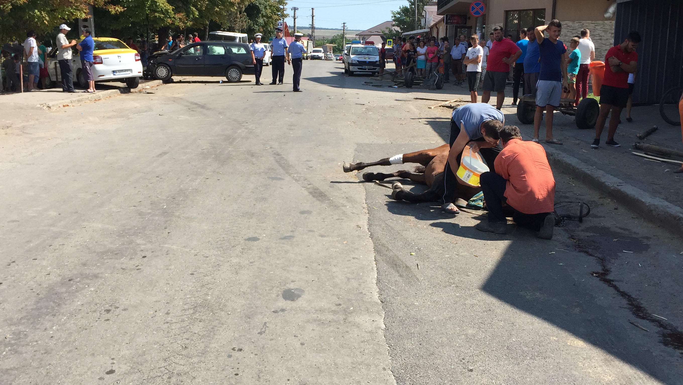 FOTO/VIDEO | Accident grav în județul Botoșani! Un bolnav psihic a furat un taxi și a spulberat o căruță