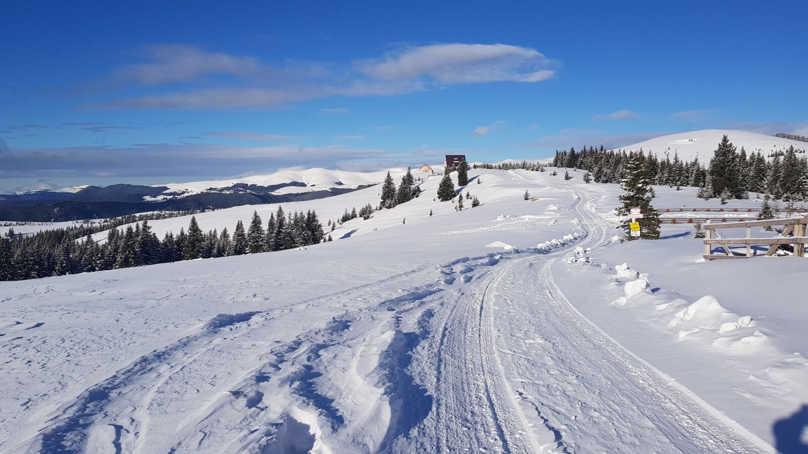 UPDATE: Turiștii blocați pe Vârful lui Roman, județul Vâlcea, din cauza viscolului, salvați de jandarmi