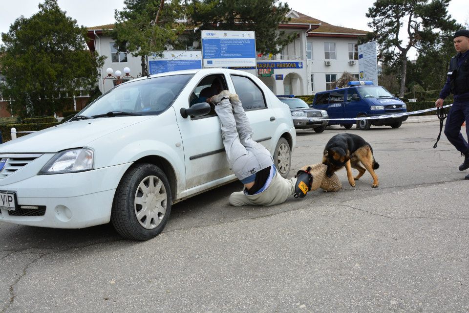 REPORTAJ/ Jandarmul Marius și câinele Mabanu, o prietenie mai presus de meserie. Deși a fost pensionat, ciobănescul german rămane cu plutonierul major/ (Foto&Video)
