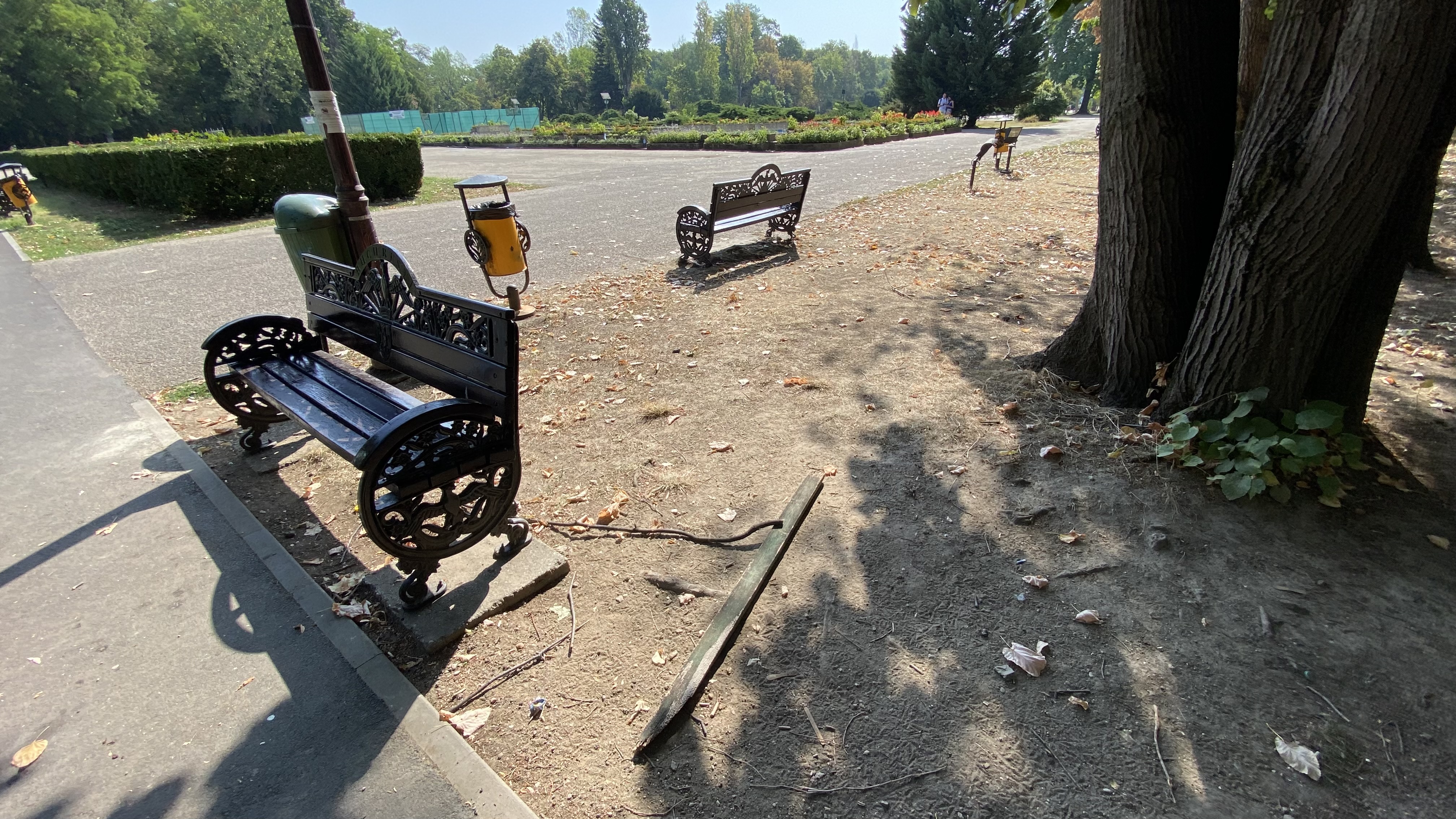 FOTO. Herăstrău, cel mai mare parc al Bucureștiului, arată mai rău ca niciodată. Trandafirii și zonele cu flori sunt istorie, clădirile pentru expoziții au fost vandalizate