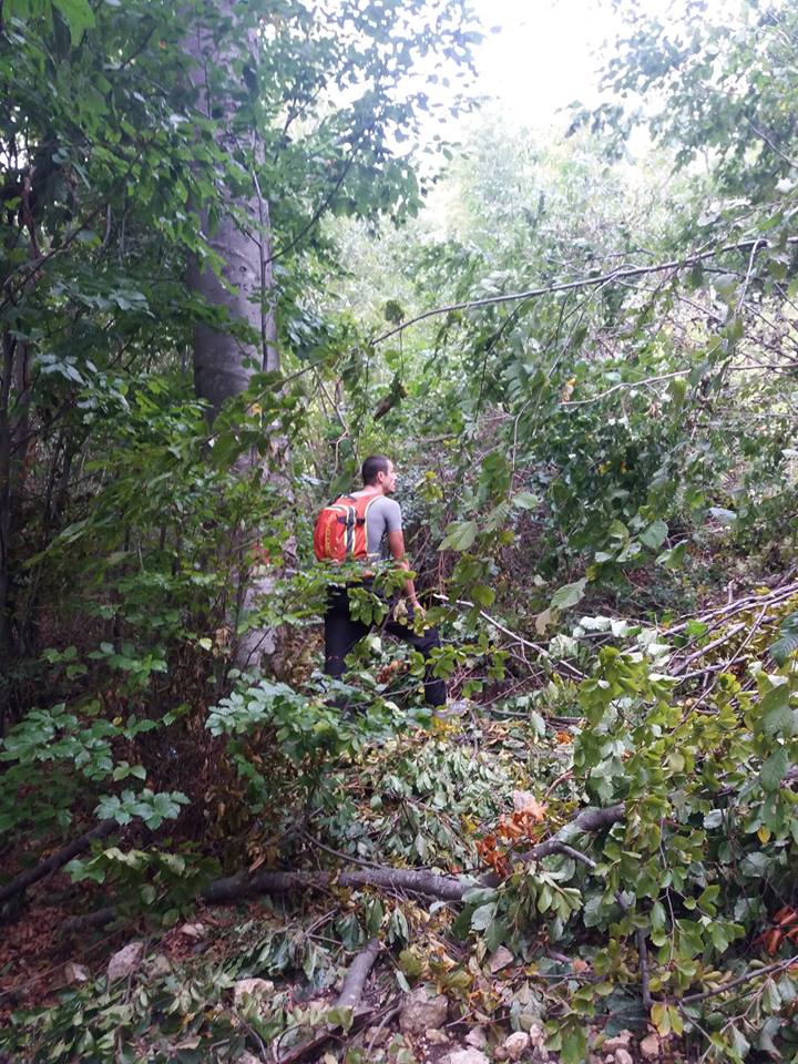 Traseele turistice din vestul Munților Zărandului, blocate parțial de arborii doborâți de vijelii