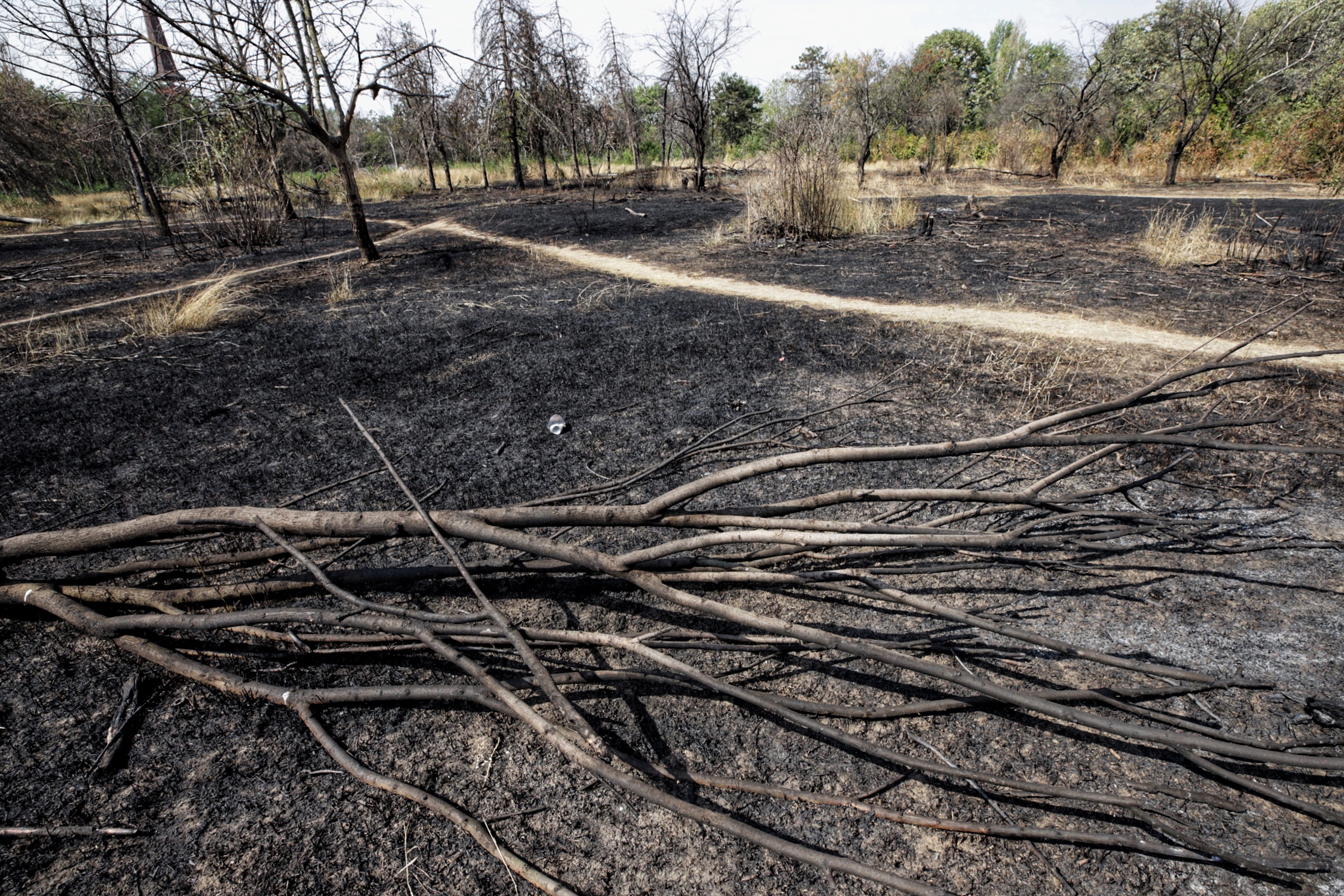FOTO Cum arată Parcul IOR, după incendiul care a ars 4.000 de metri pătrați de vegetație
