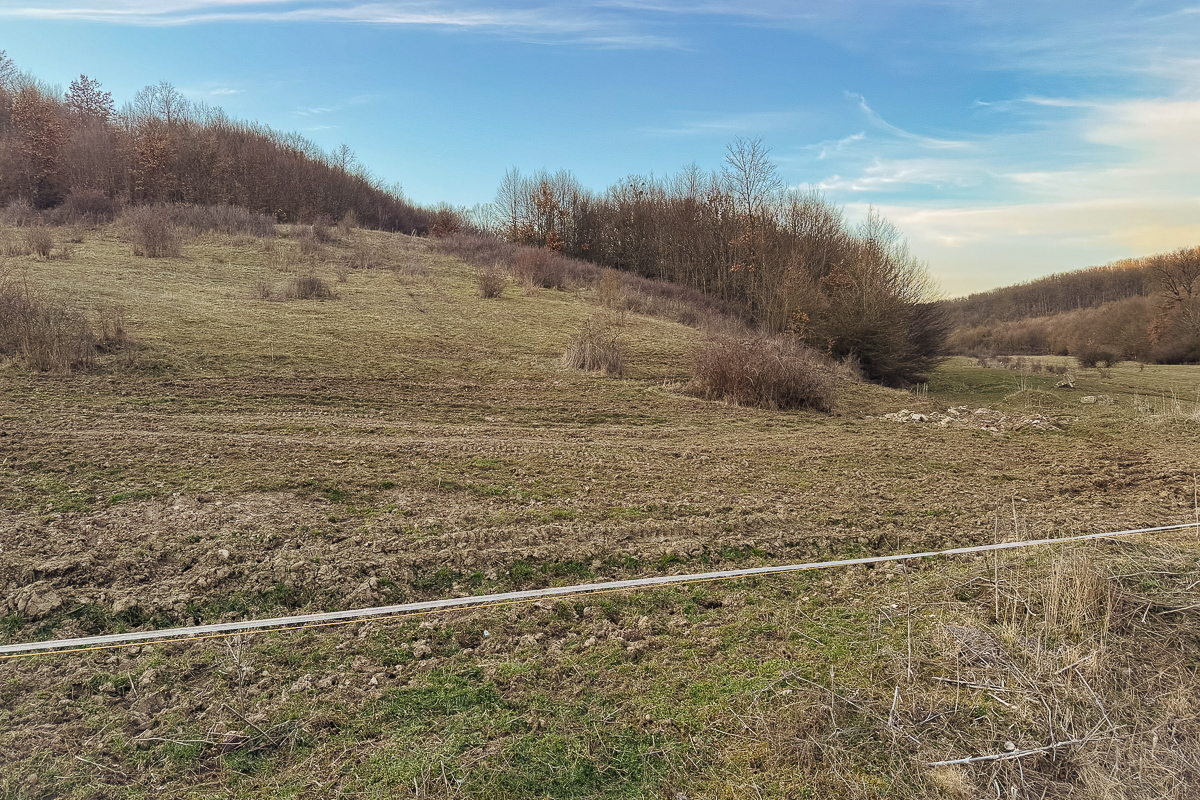 Umbrele lui Țiriac și Porsche la Balc, județul Bihor: „Se vânează mai pe ascuns, iar de la castel s-au dat oameni afară”