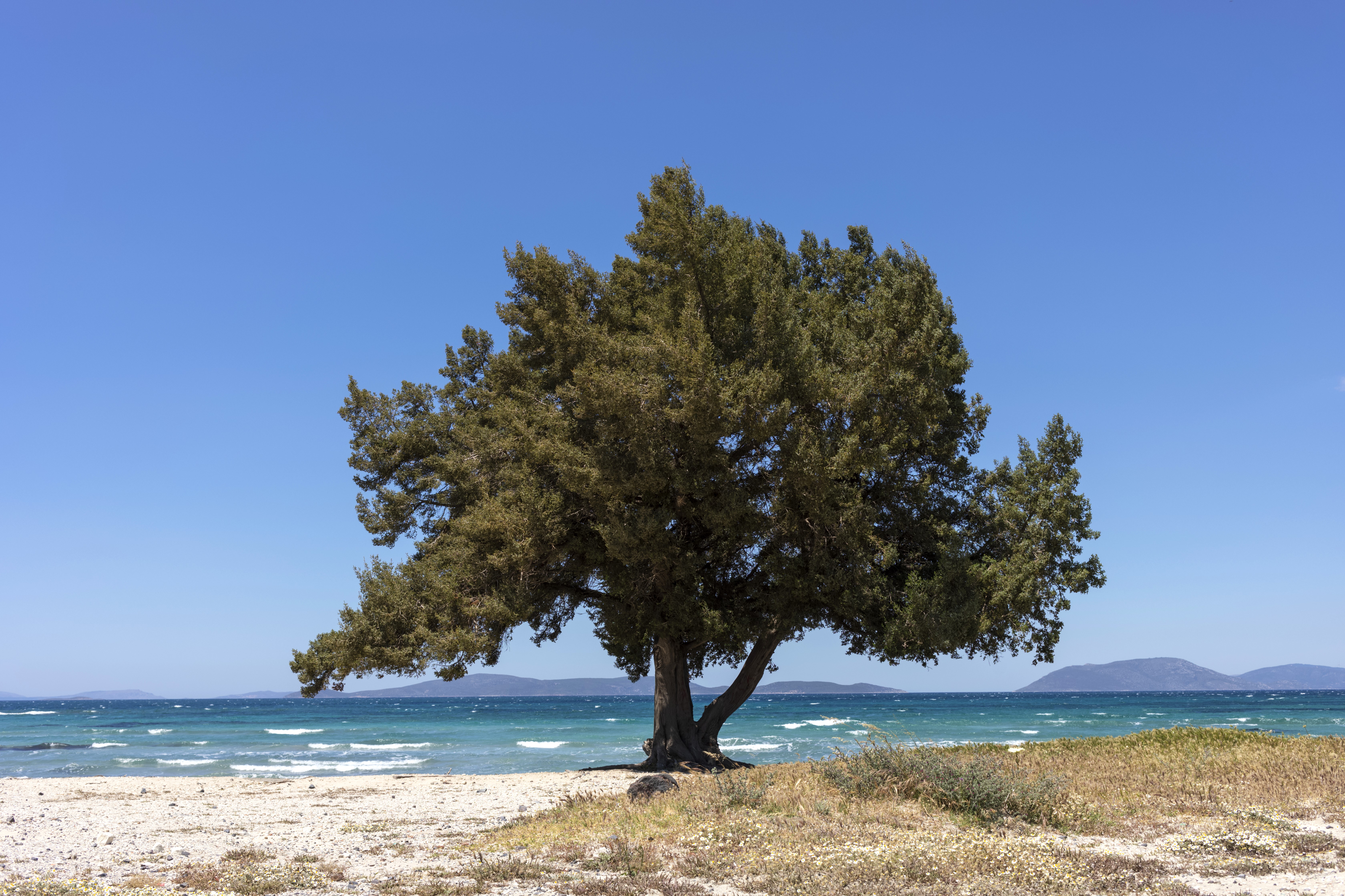 Destinația de vacanță aleasă de tot mai mulți turiști în această perioadă a anului. Septembrie e noul august pentru europeni