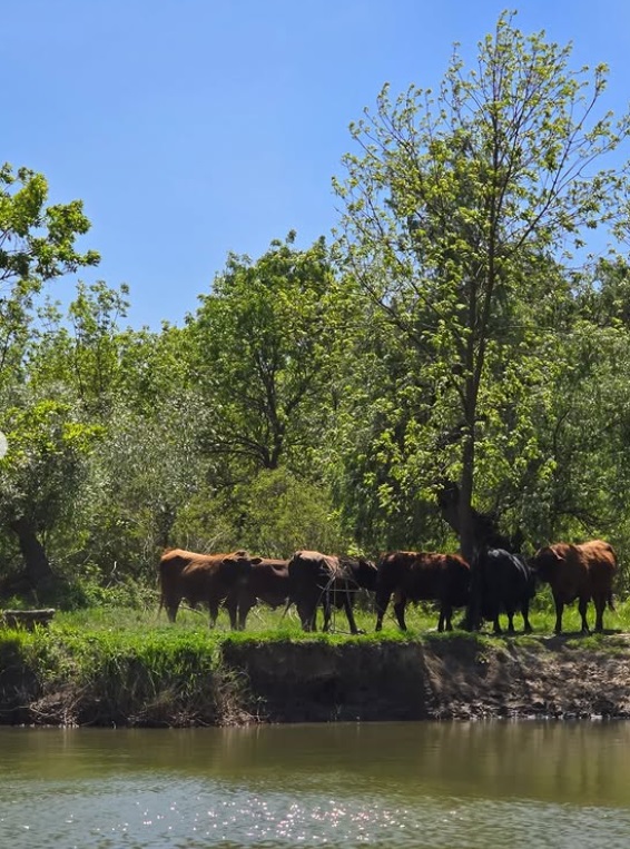 Monica Bîrlădeanu, în brațele lui Valeriu Gheorghiță. Imagini neașteptate din vacanța lor în Delta Dunării: „Măreția naturii e de neegalat”