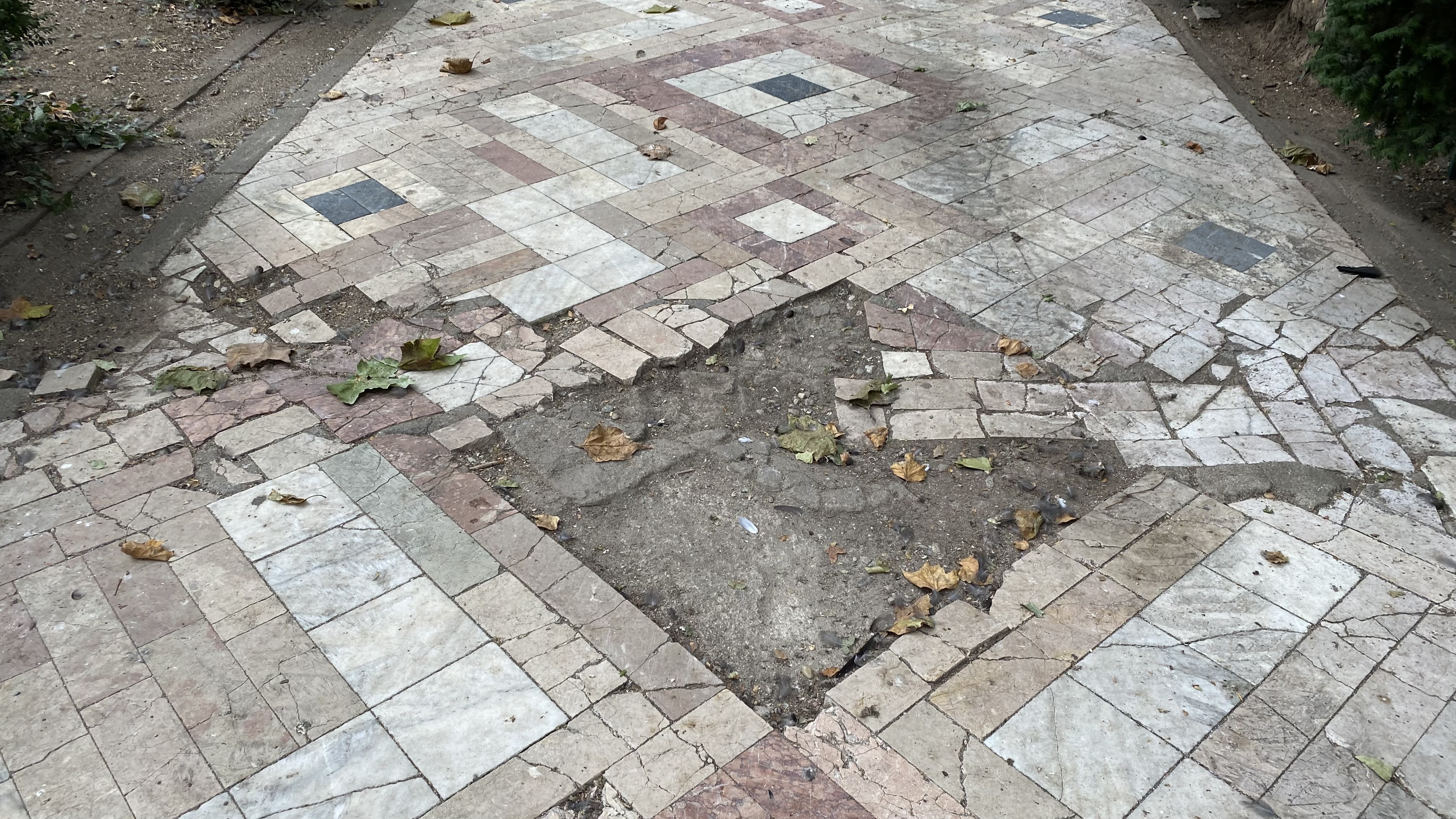 Cișmigiu, mândria tristă a Bucureștiului: pământ în loc de iarbă, alei distruse, garduri rupte și mirosuri insuportabile