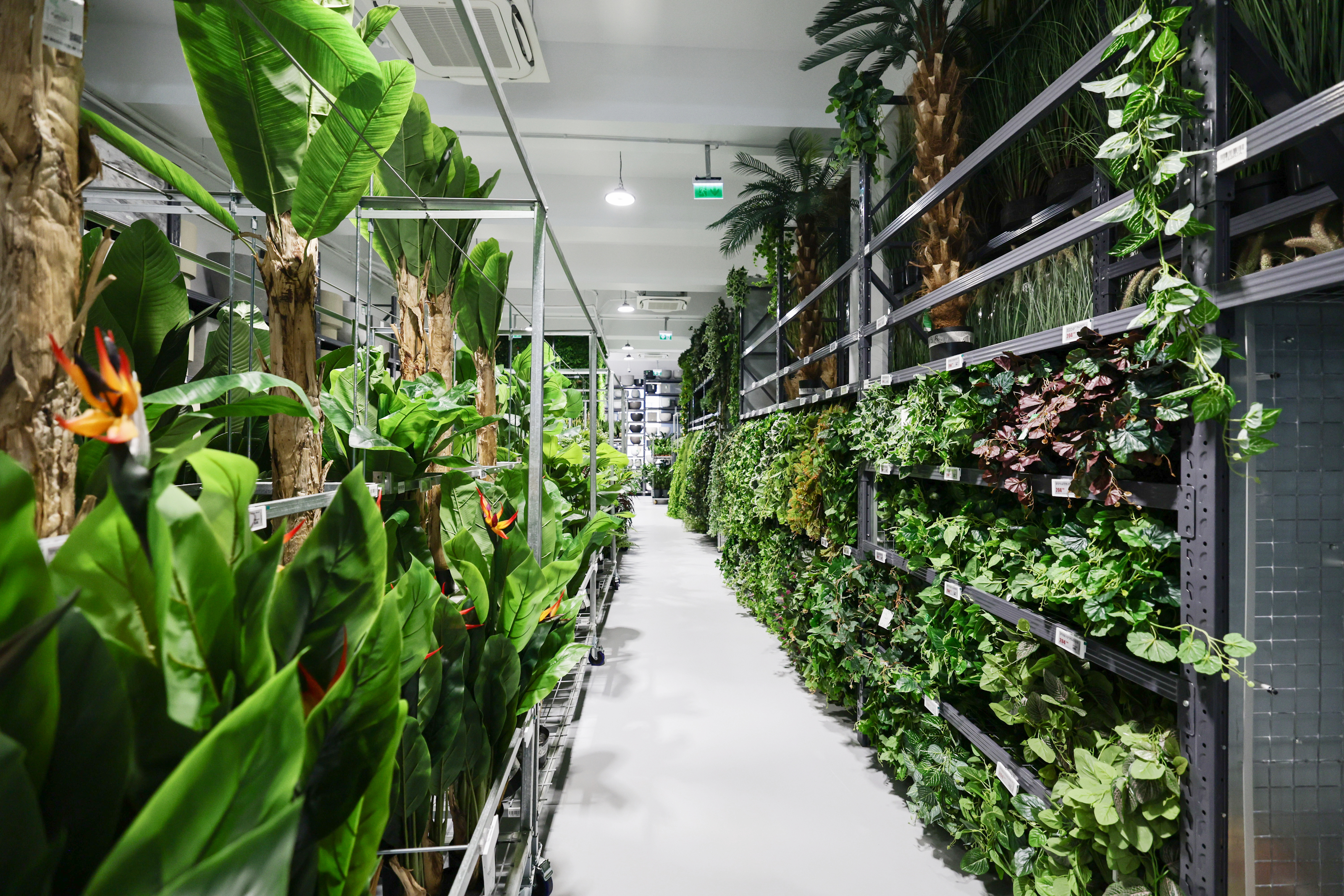 Mall-ul de plante din București are cinci niveluri cu peste 1.200 de soiuri, ghivece inteligente și un mesteacăn artificial care costă cât un apartament