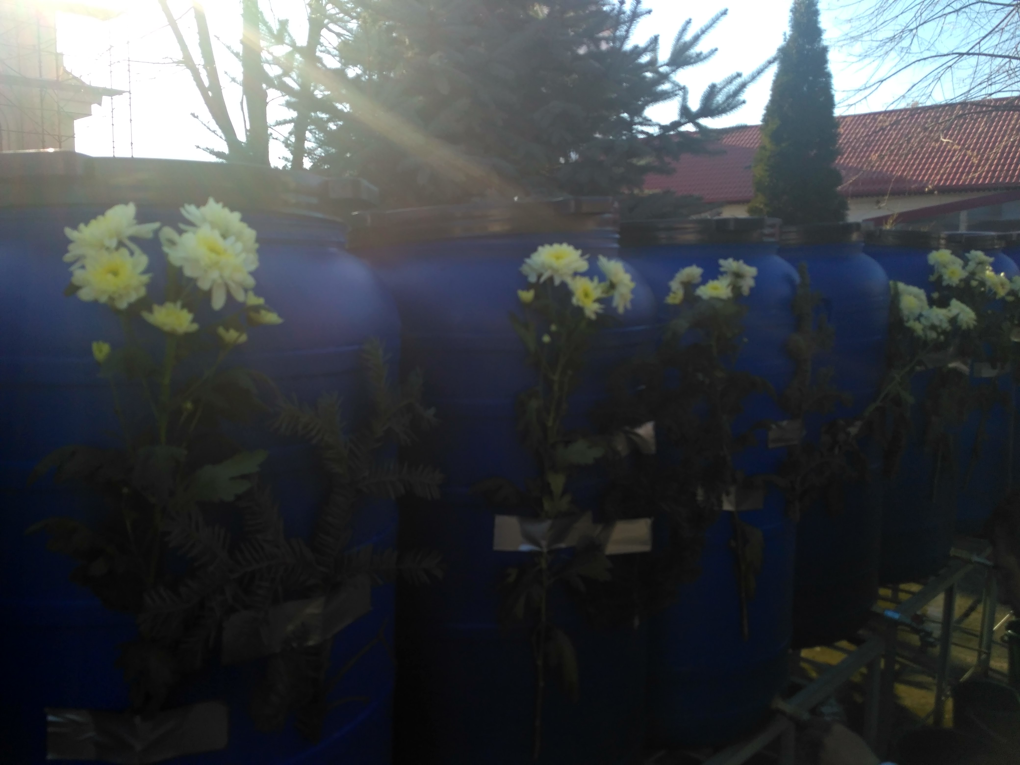 REPORTAJ: Atrași de un izvor tămăduitor, o mie de pelerini s-au rugat la Mănăstirea Ghighiu să li se îndeplinească dorințele| FOTO