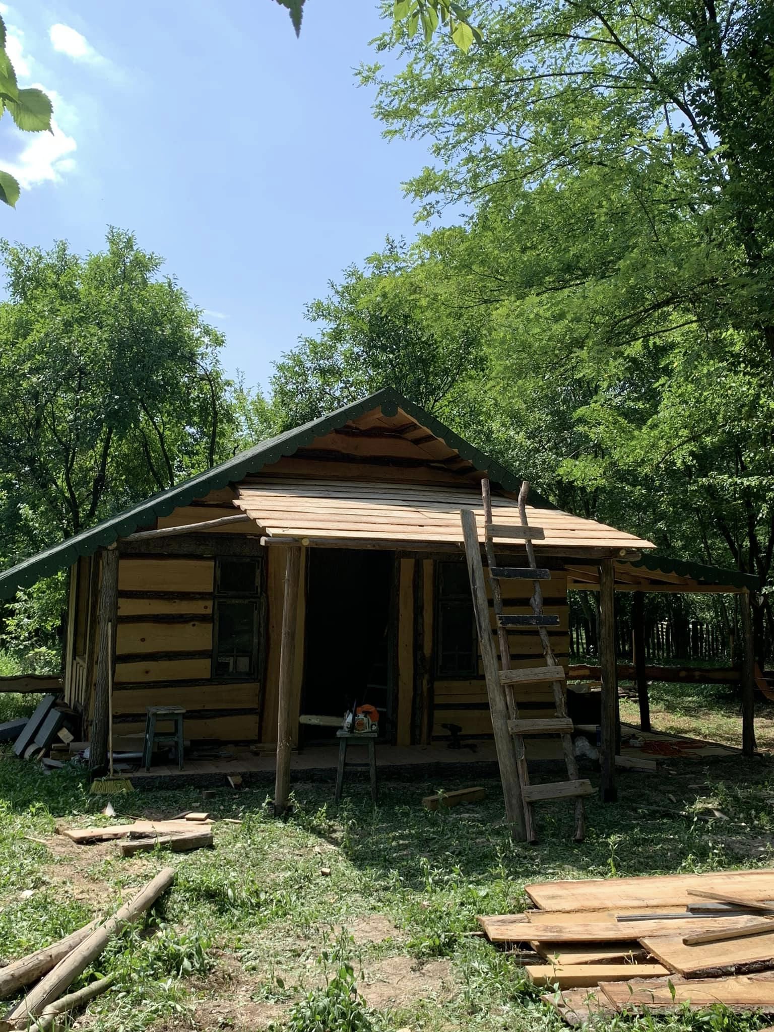 Cabana din pădure a Mihaelei Bilic e aproape gata. Ce modificări a făcut: „Ca să nu o mai bată soarele și ploaia, prispa mea a primit un cozoroc”